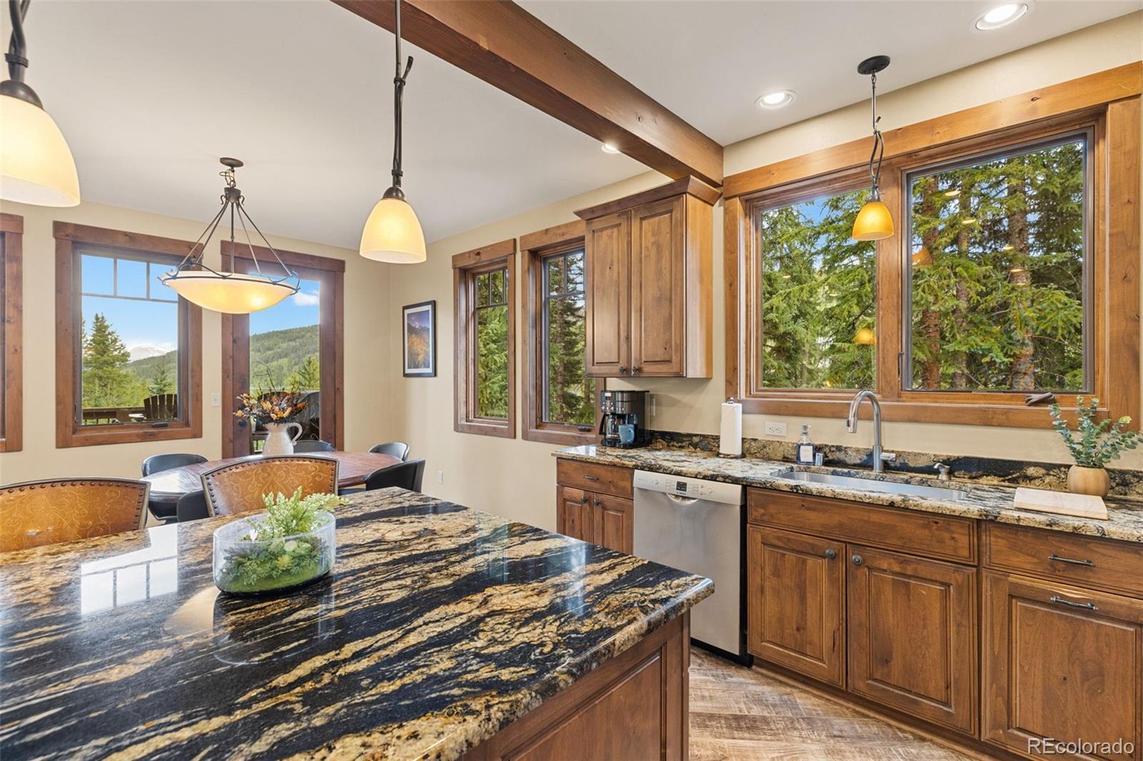 MLS Image #19 for 861  high point drive,breckenridge, Colorado