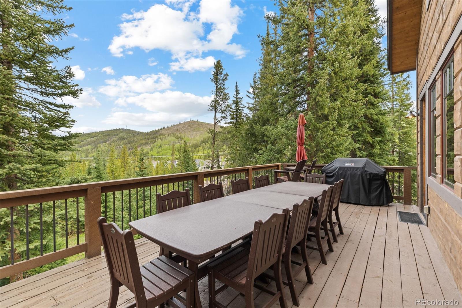 MLS Image #22 for 861  high point drive,breckenridge, Colorado