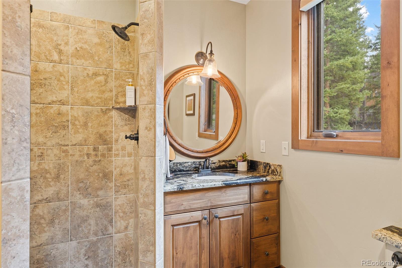 MLS Image #26 for 861  high point drive,breckenridge, Colorado