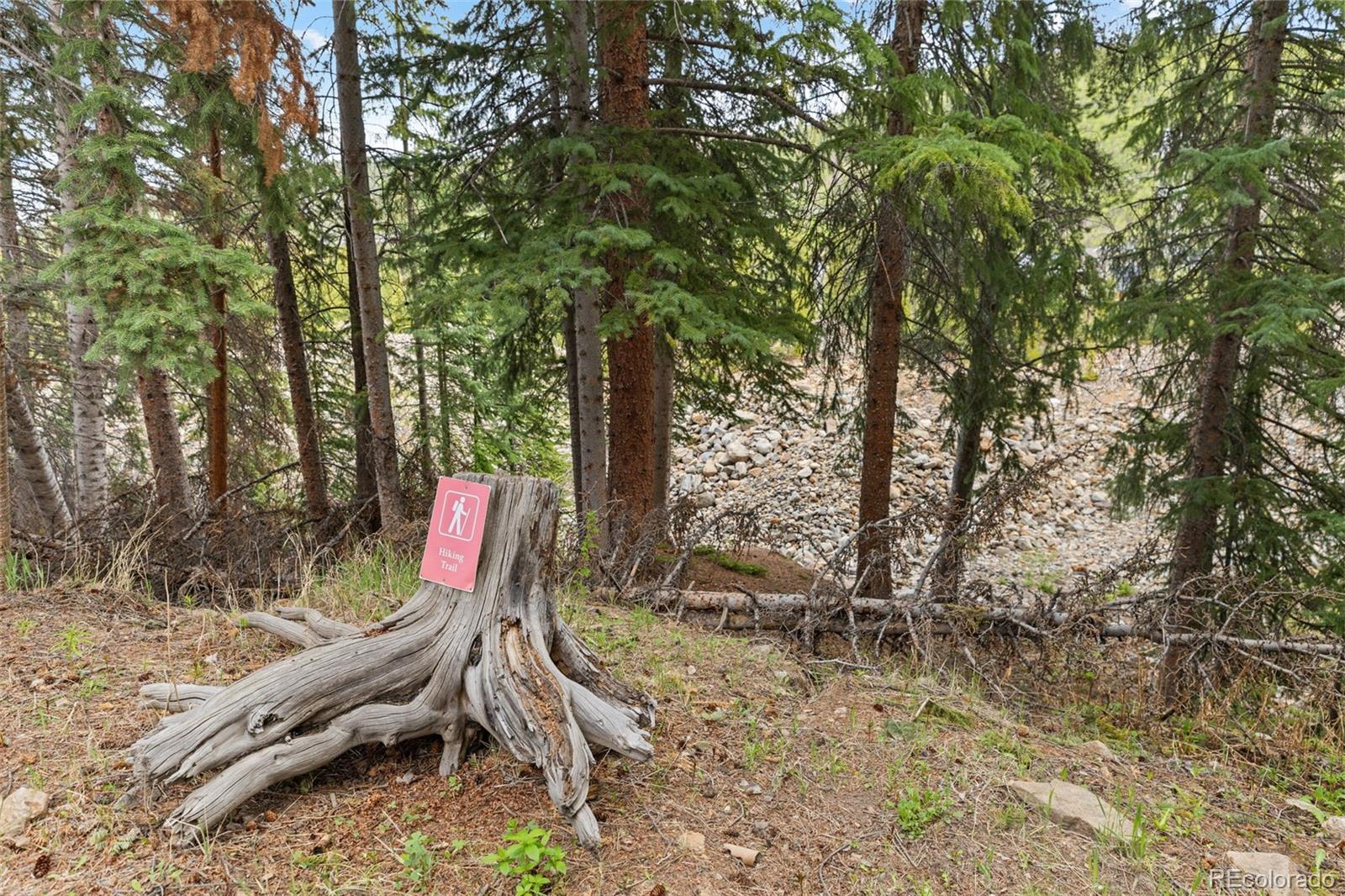 MLS Image #48 for 861  high point drive,breckenridge, Colorado