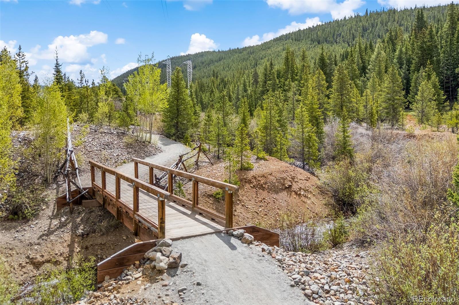 MLS Image #49 for 861  high point drive,breckenridge, Colorado