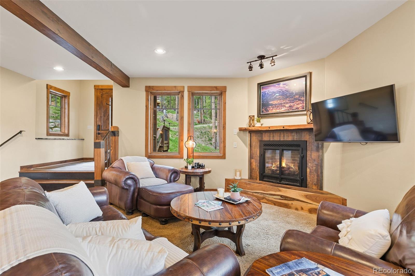 MLS Image #9 for 861  high point drive,breckenridge, Colorado