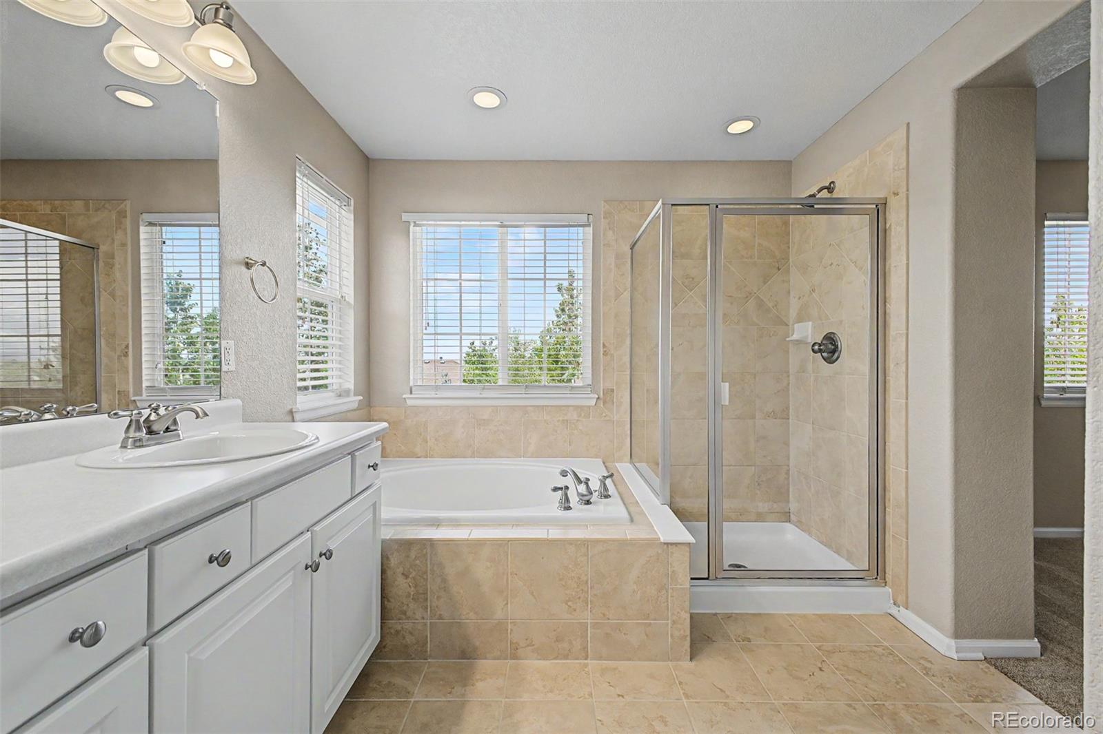 MLS Image #13 for 2845  night song way,castle rock, Colorado