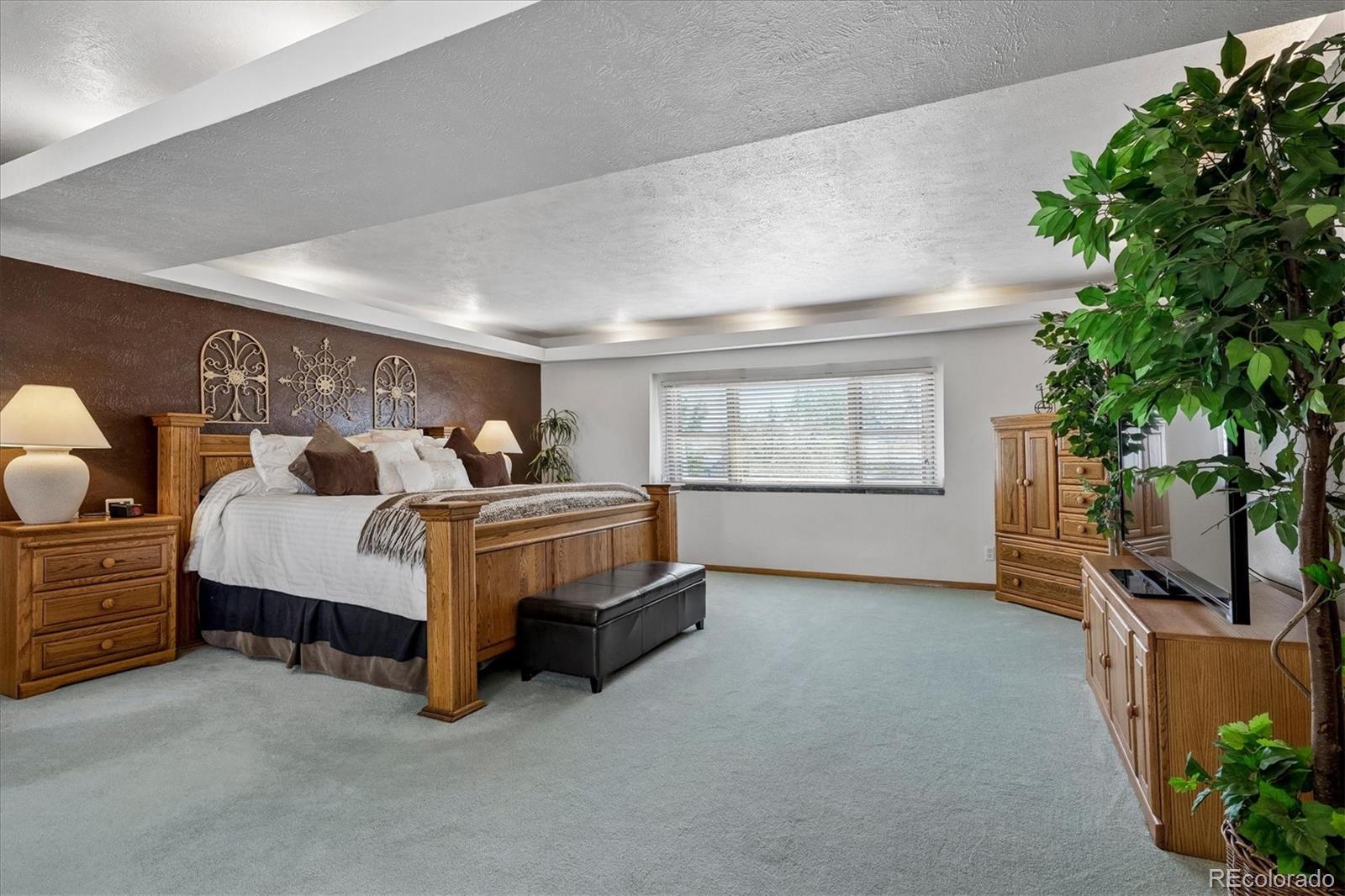 MLS Image #8 for 233  ash avenue,castle rock, Colorado