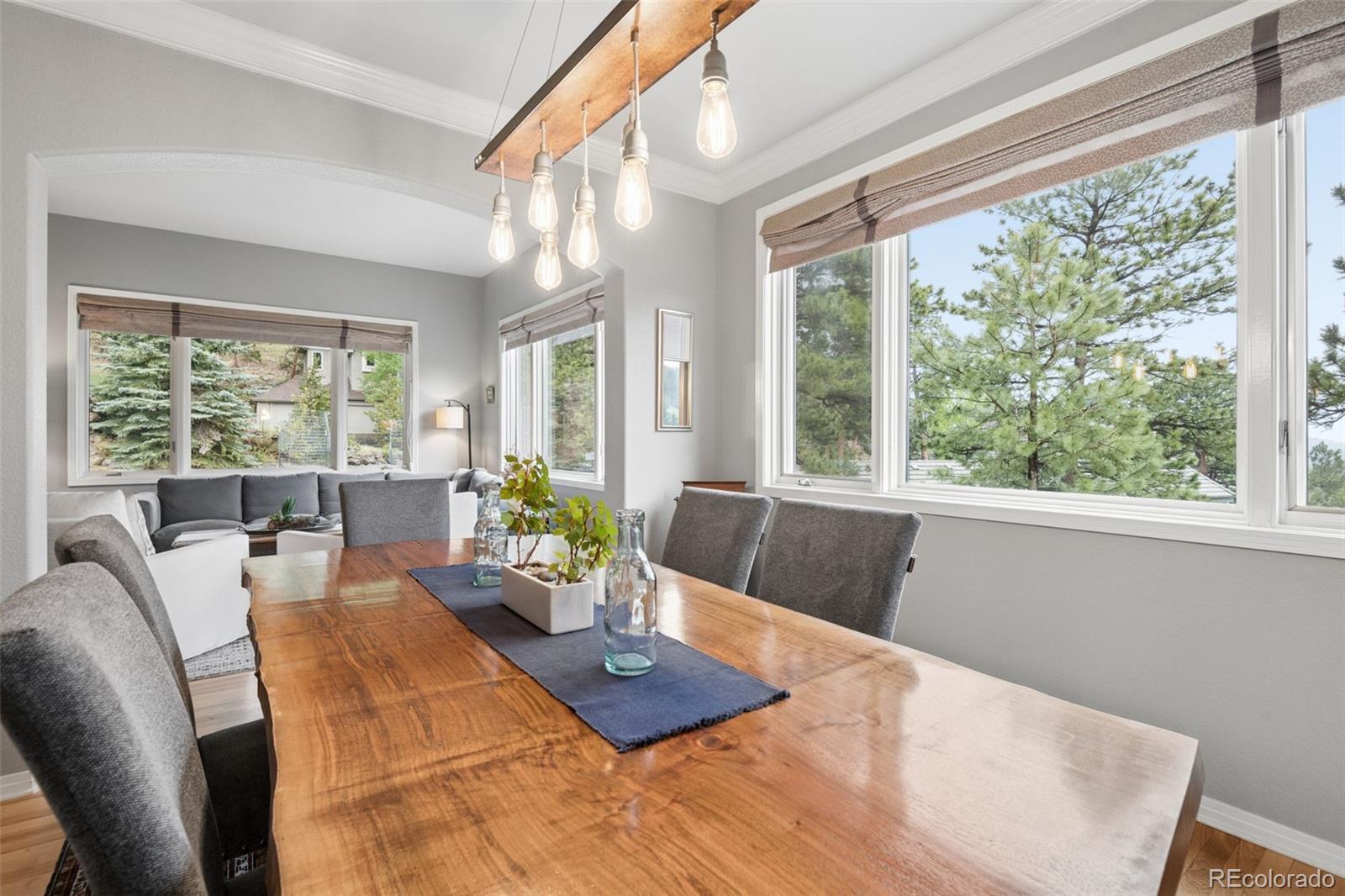 MLS Image #10 for 31494  blackfeather trail,evergreen, Colorado