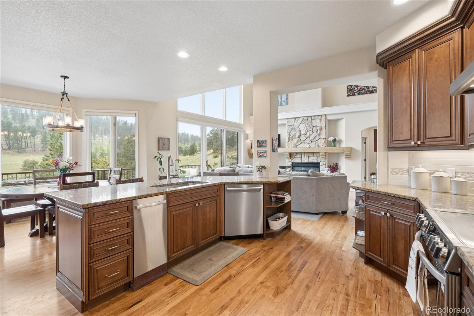 MLS Image #13 for 31494  blackfeather trail,evergreen, Colorado