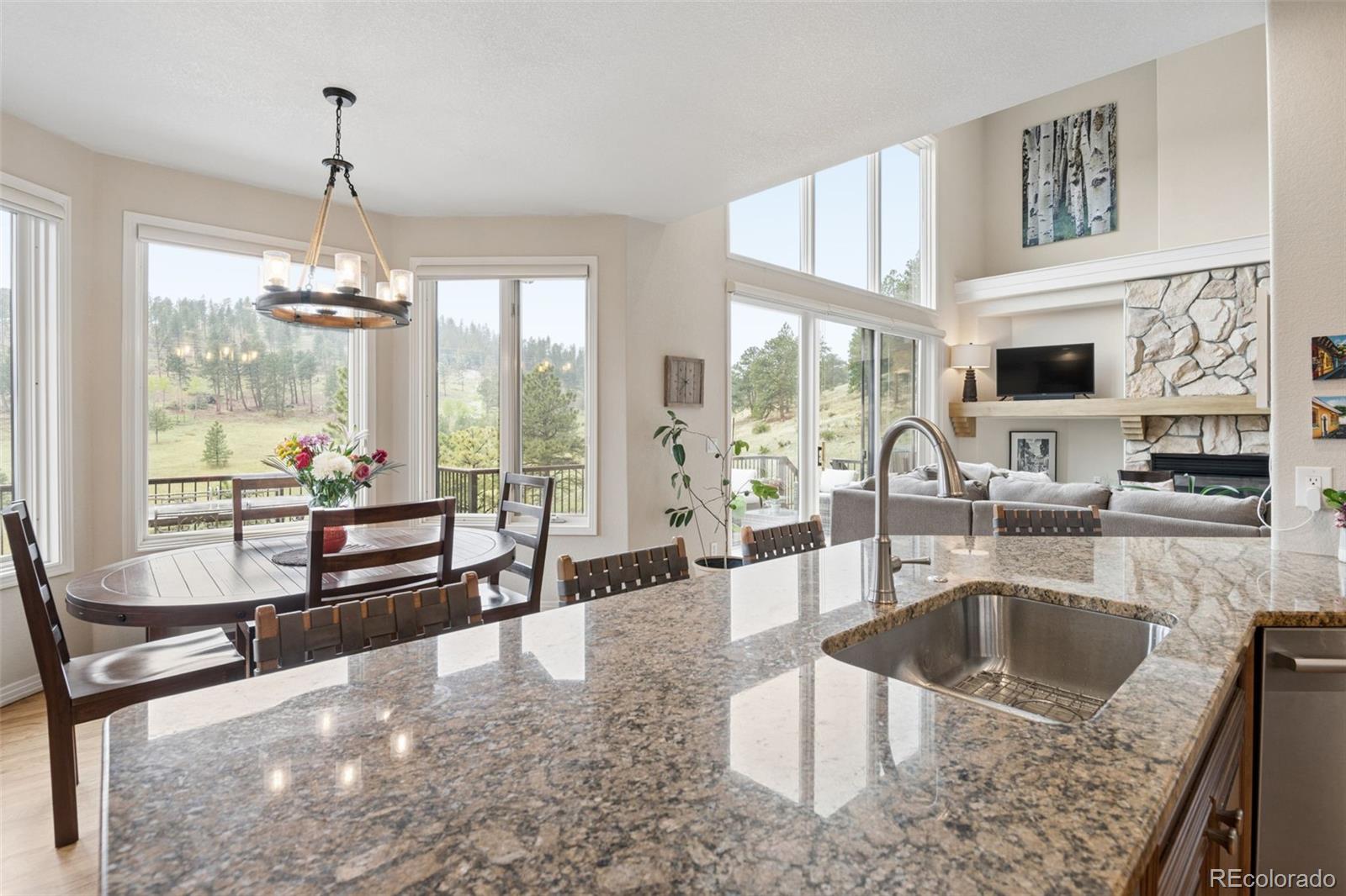 MLS Image #15 for 31494  blackfeather trail,evergreen, Colorado