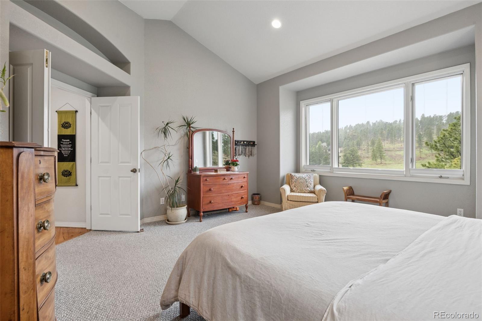 MLS Image #20 for 31494  blackfeather trail,evergreen, Colorado