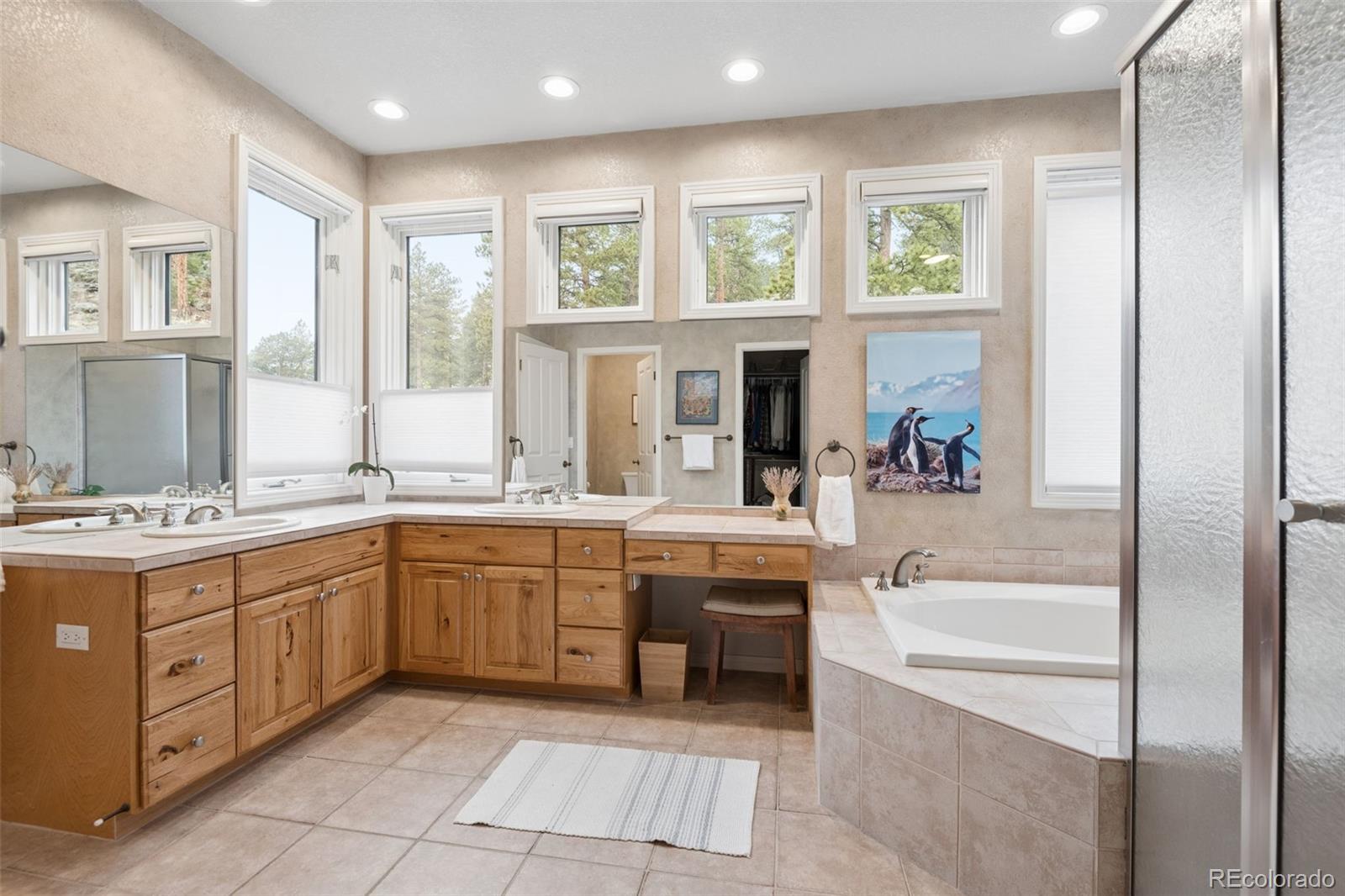 MLS Image #21 for 31494  blackfeather trail,evergreen, Colorado