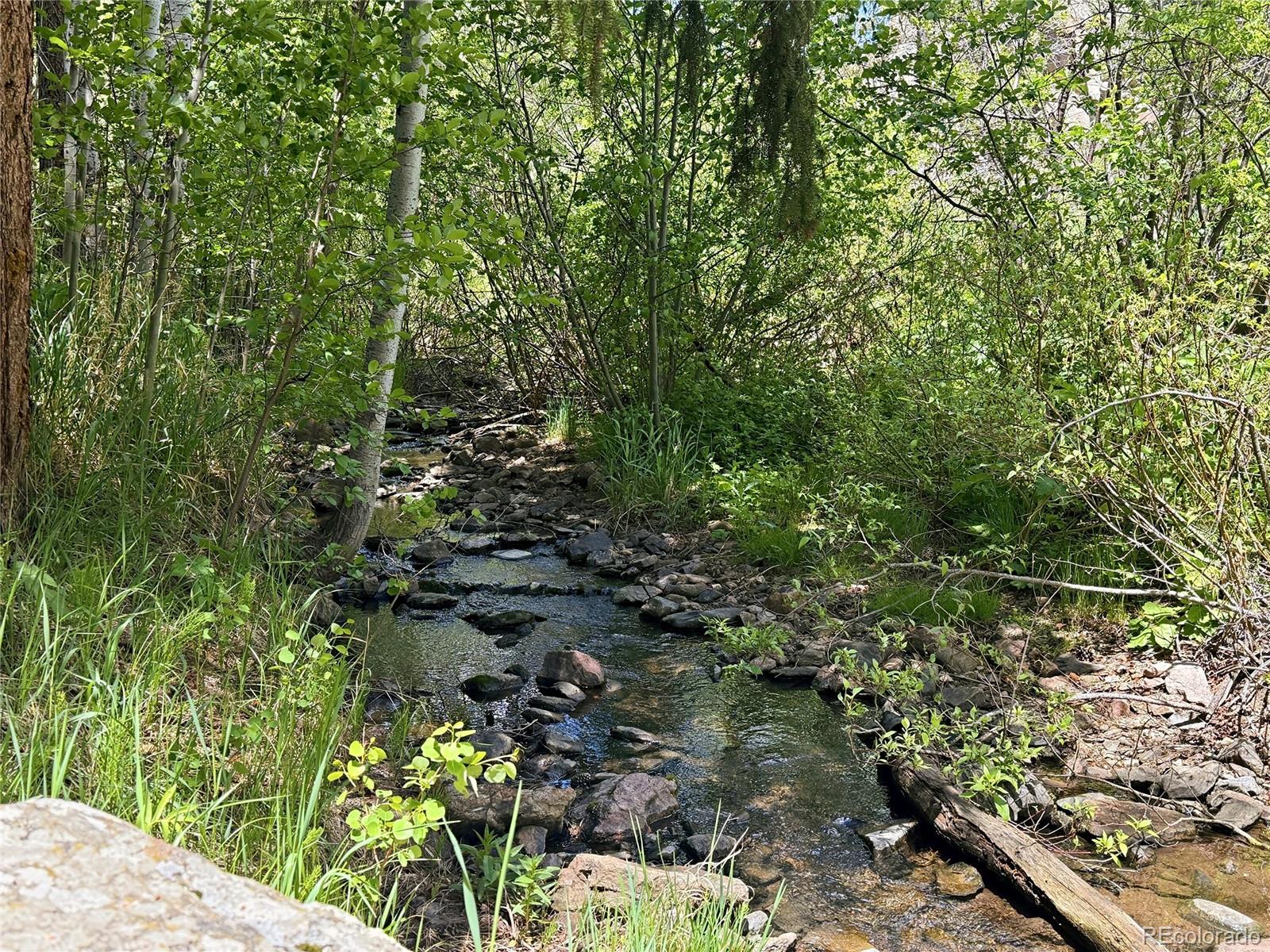 MLS Image #3 for 9717 s deer creek canyon road,littleton, Colorado