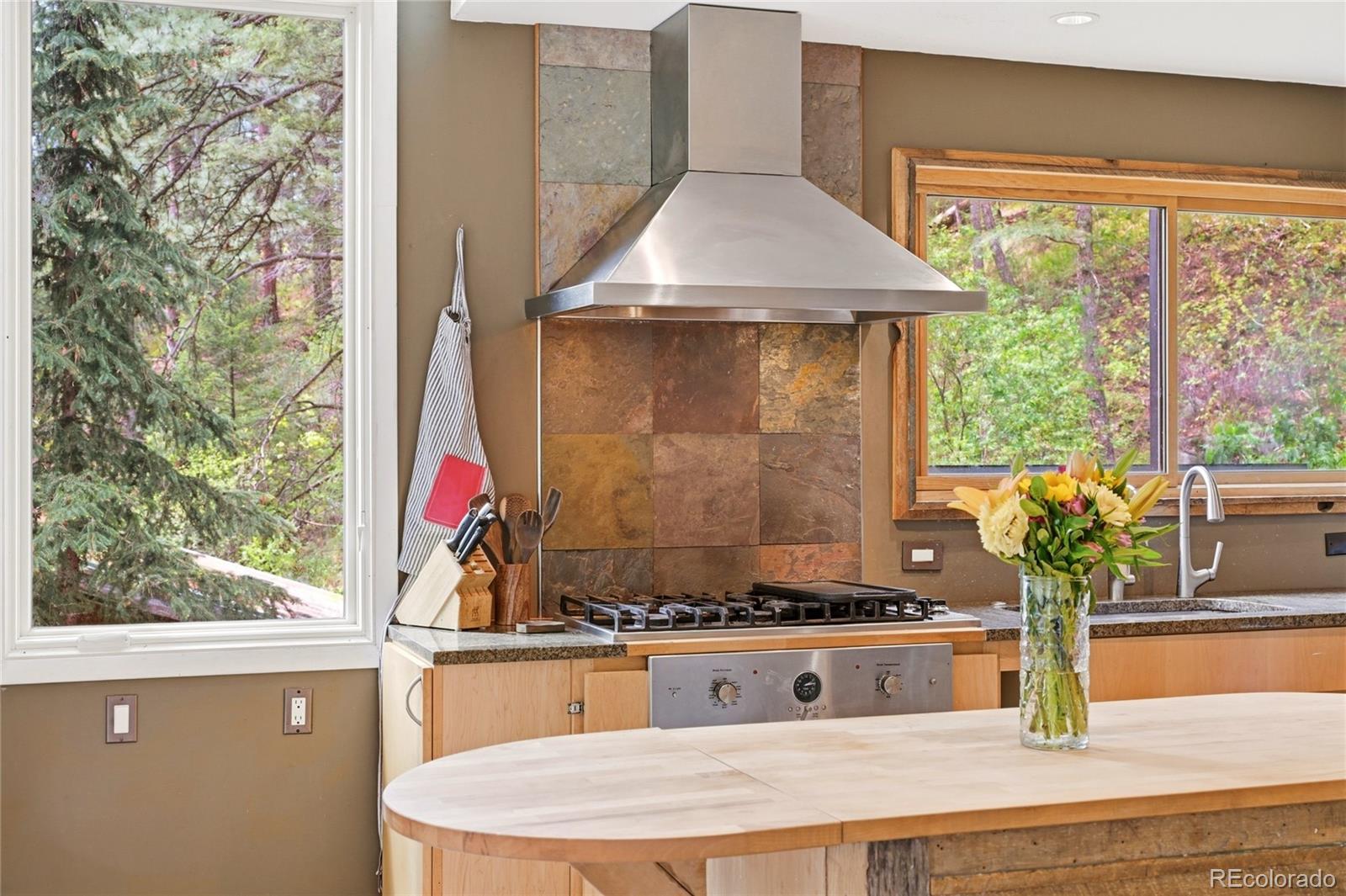 MLS Image #5 for 9717 s deer creek canyon road,littleton, Colorado