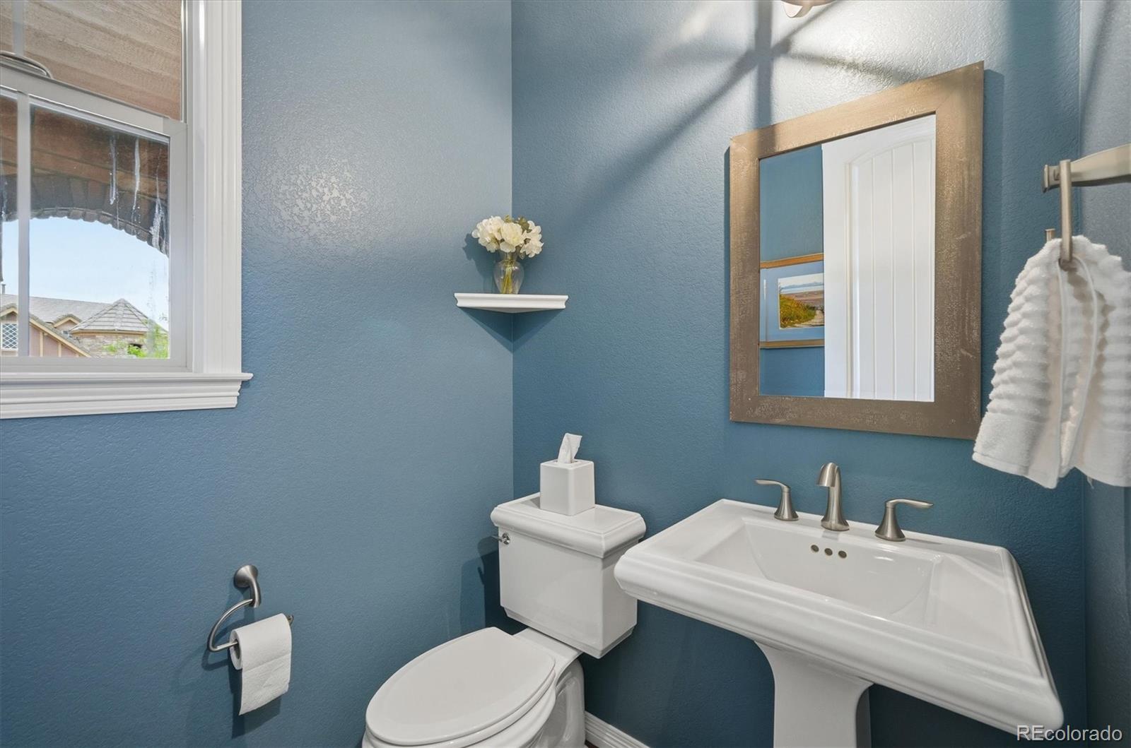 MLS Image #15 for 112  sandalwood way,highlands ranch, Colorado