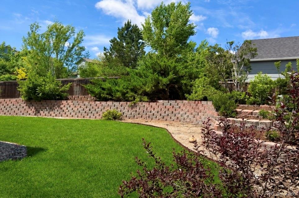 MLS Image #44 for 12821  buckhorn creek street,parker, Colorado