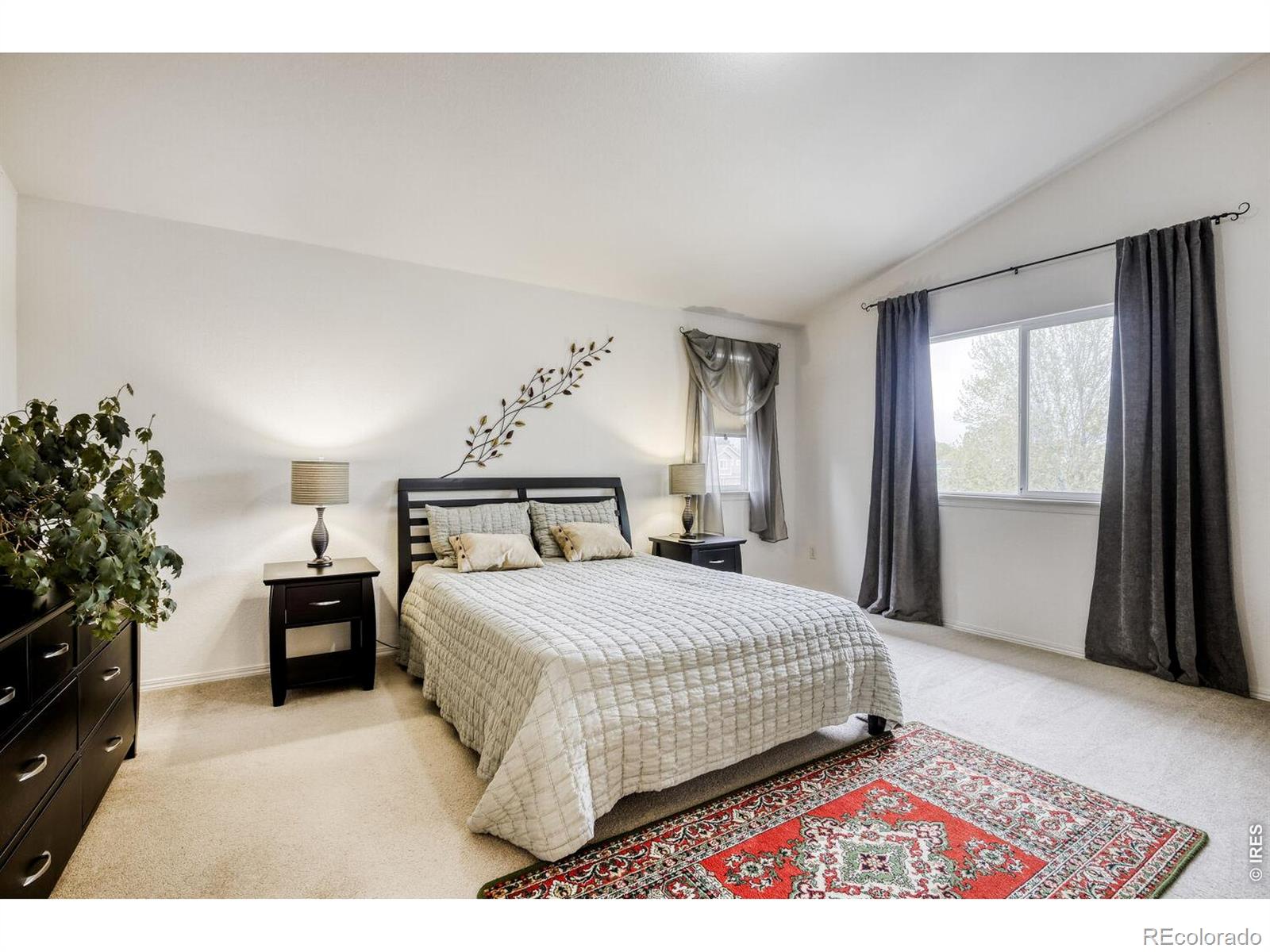 MLS Image #16 for 1355  carnation circle,longmont, Colorado