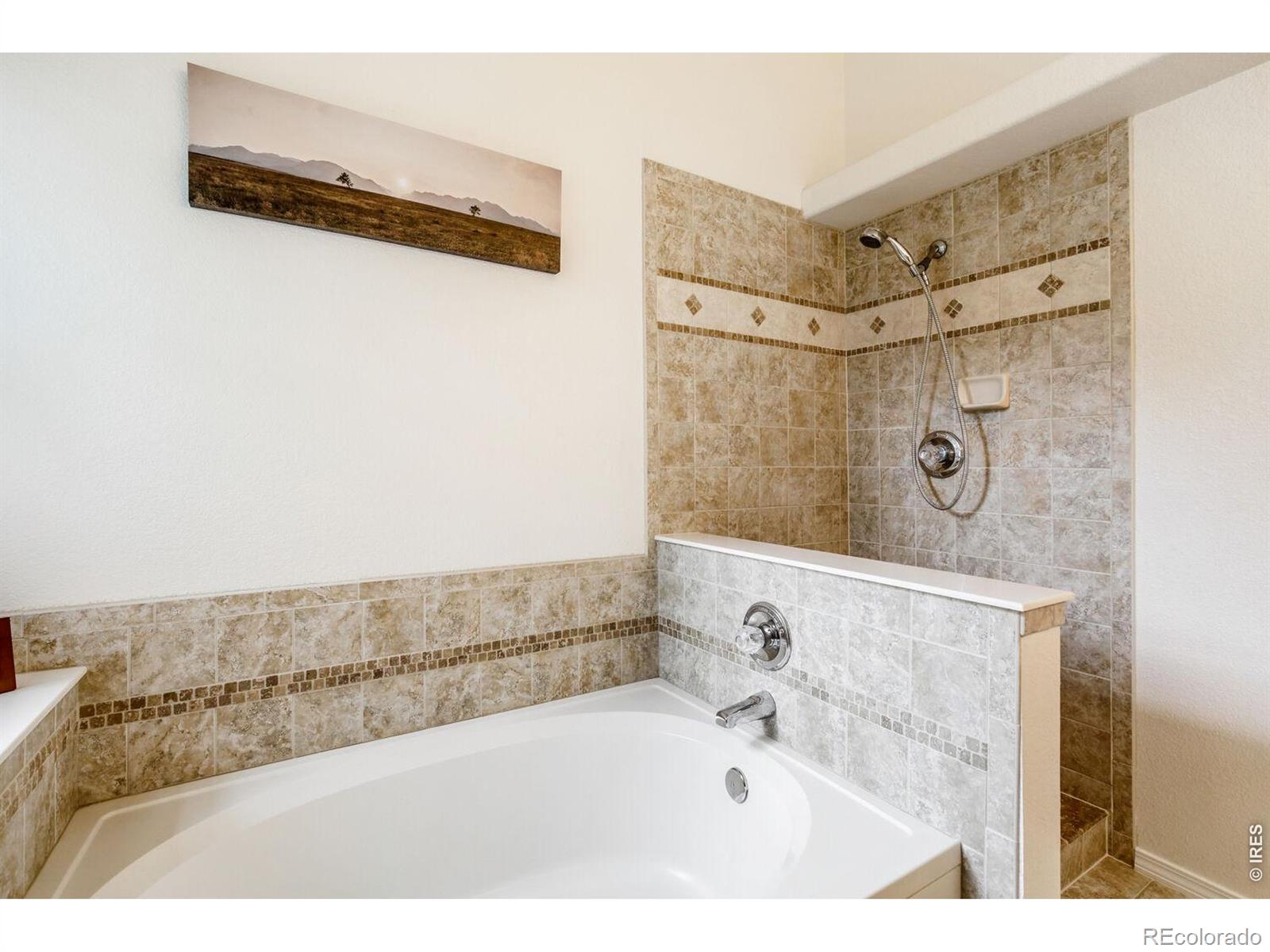 MLS Image #19 for 1355  carnation circle,longmont, Colorado