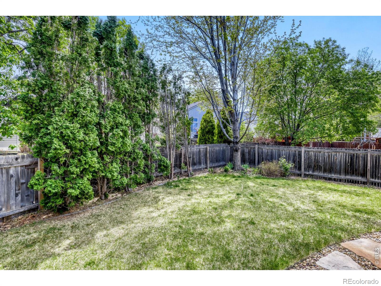 MLS Image #25 for 1355  carnation circle,longmont, Colorado