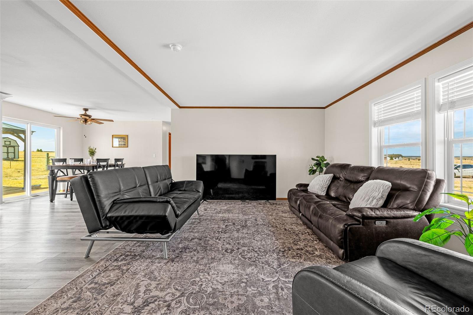 MLS Image #11 for 1134  buffalo run road,calhan, Colorado