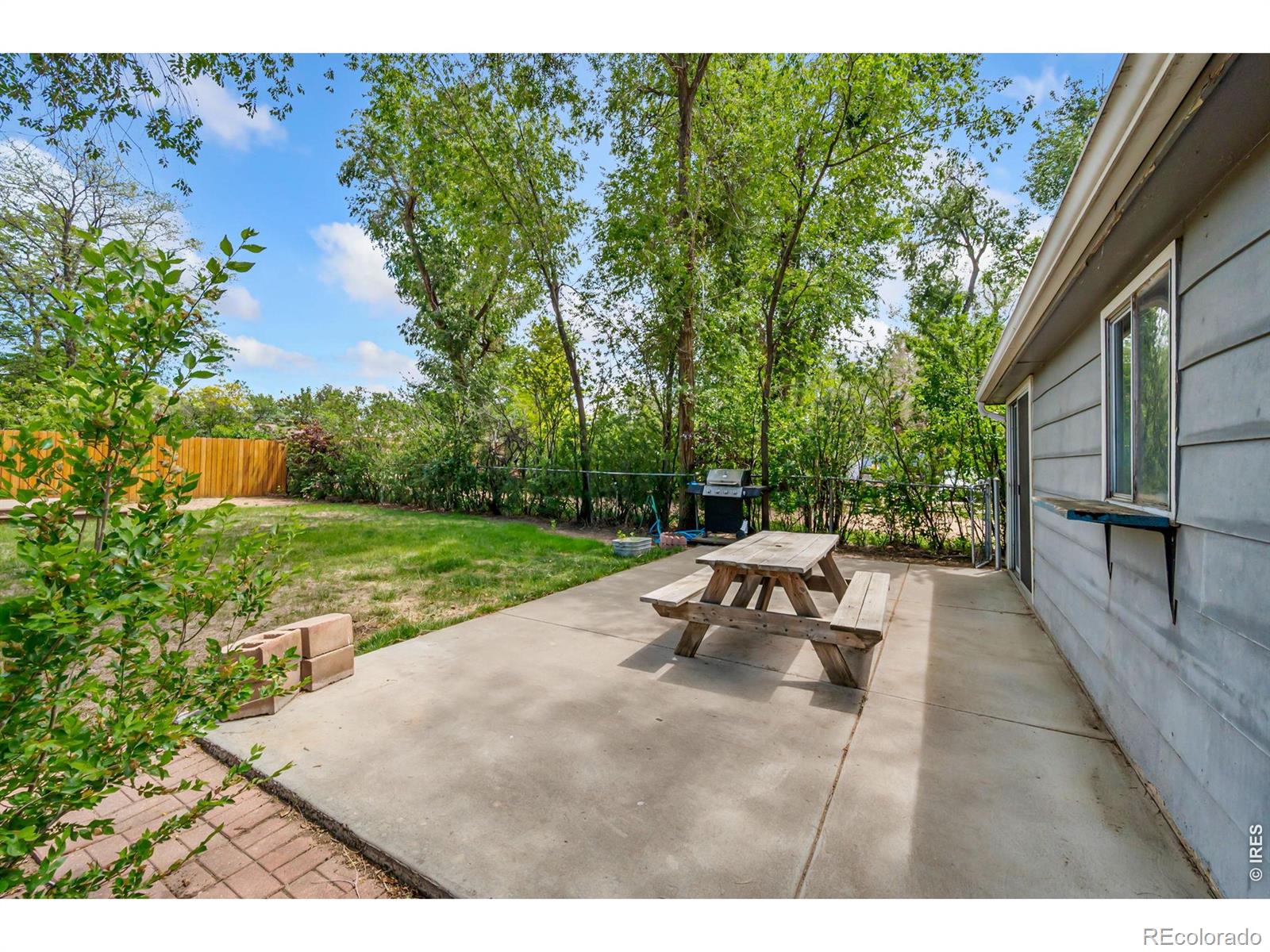 MLS Image #11 for 1230  hover street,longmont, Colorado