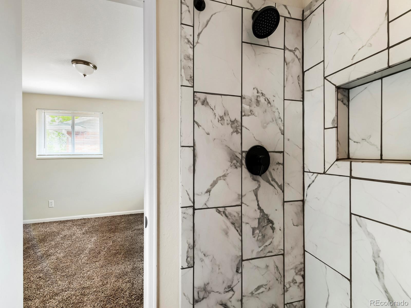 MLS Image #16 for 628 s oswego court,aurora, Colorado