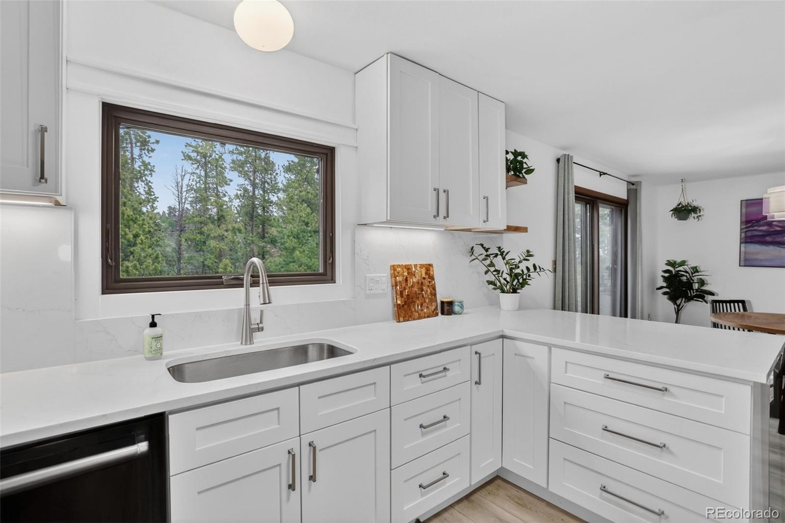 MLS Image #13 for 1960  pine valley road,evergreen, Colorado