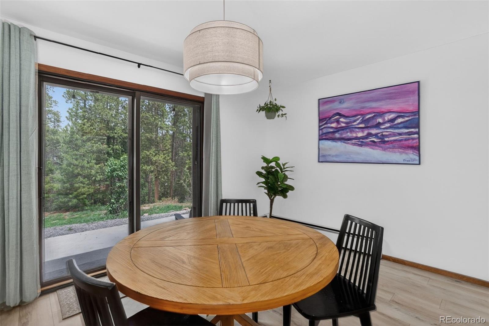 MLS Image #19 for 1960  pine valley road,evergreen, Colorado