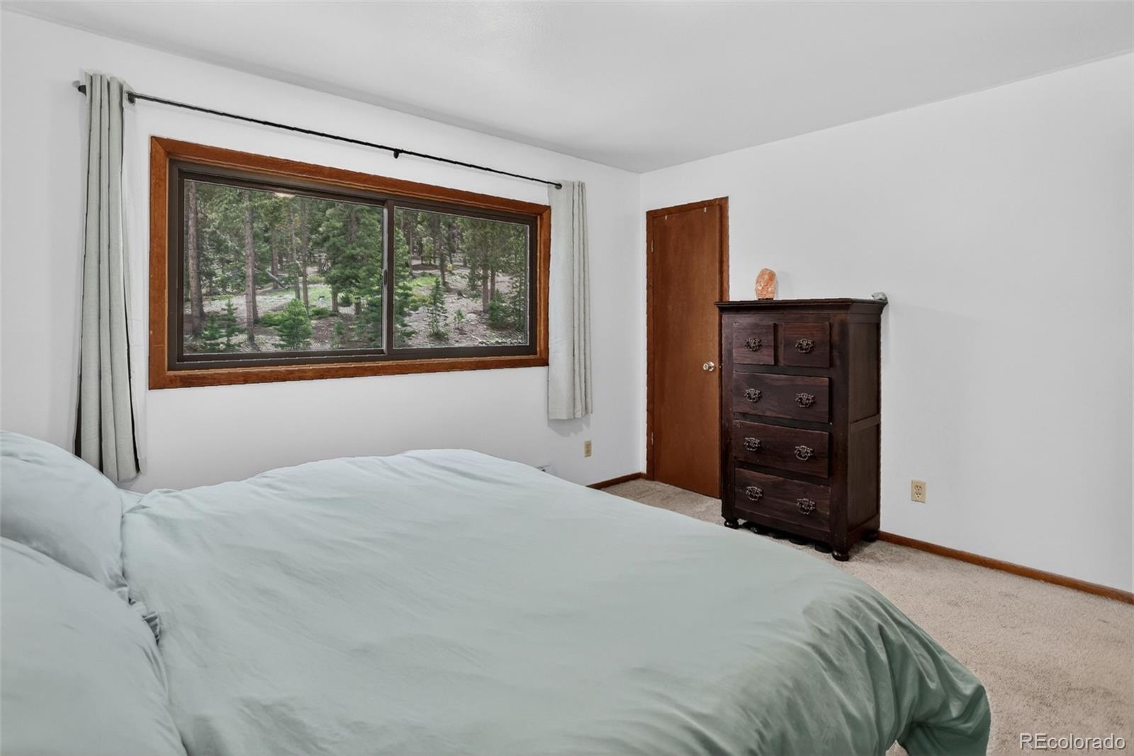 MLS Image #25 for 1960  pine valley road,evergreen, Colorado
