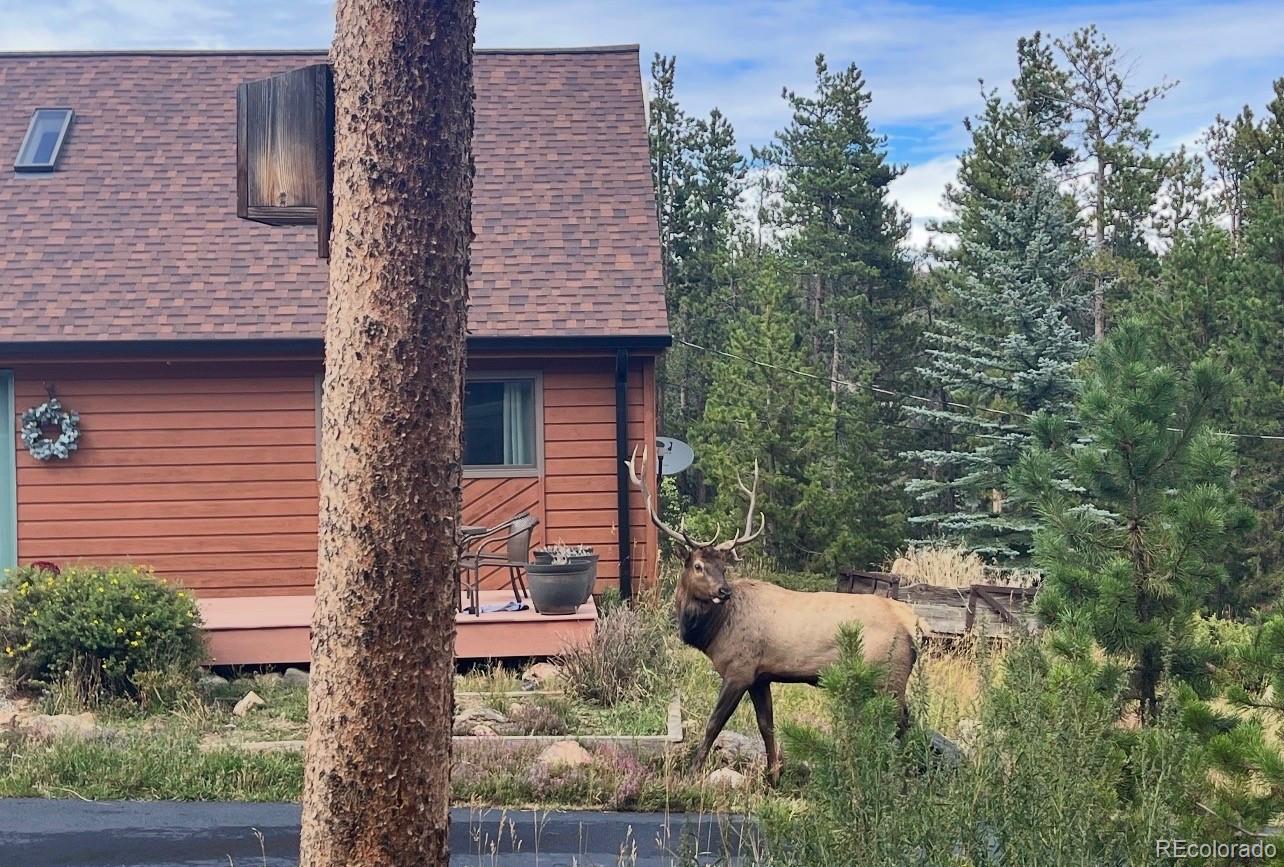 MLS Image #4 for 1960  pine valley road,evergreen, Colorado