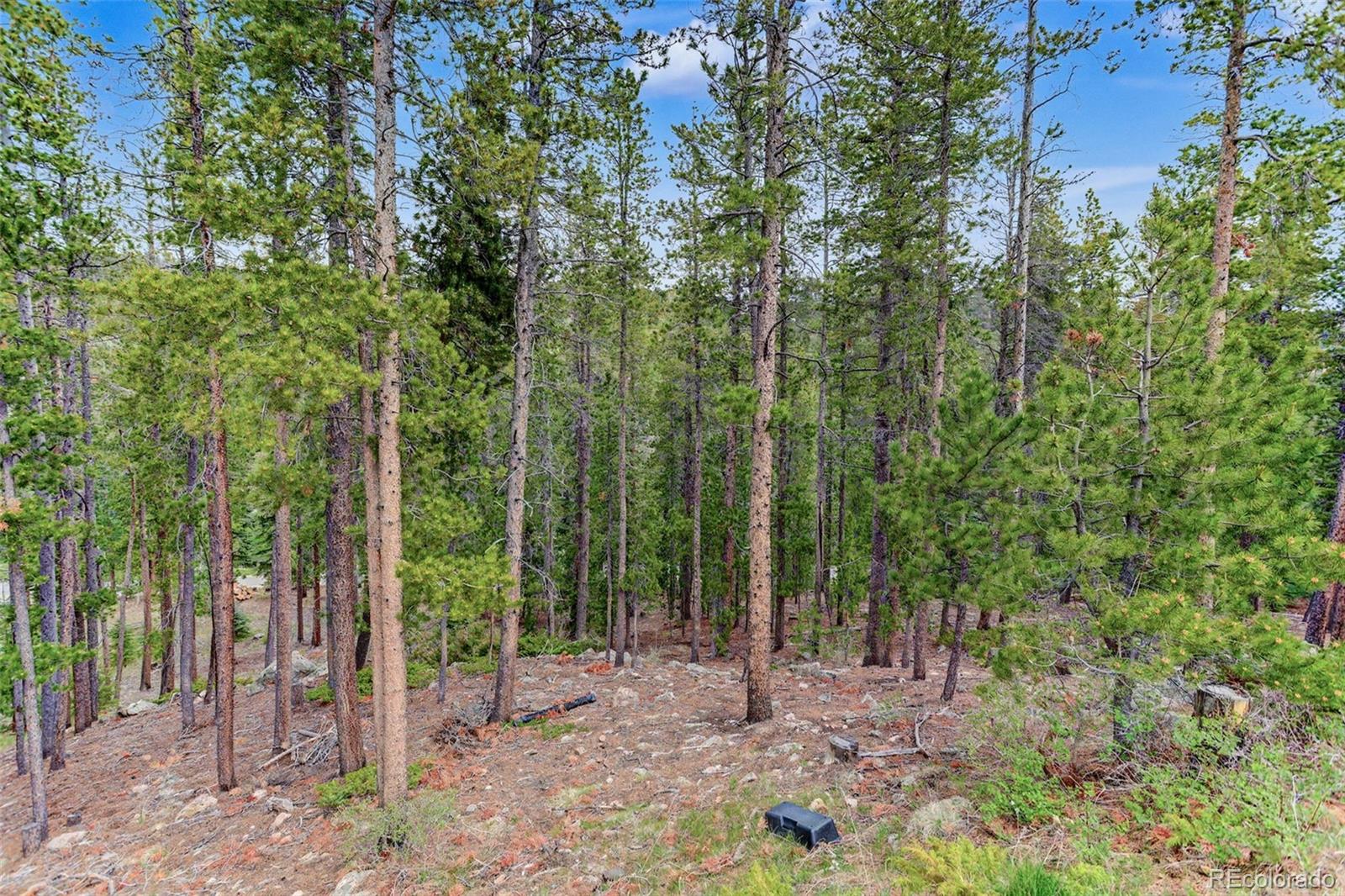 MLS Image #41 for 1960  pine valley road,evergreen, Colorado