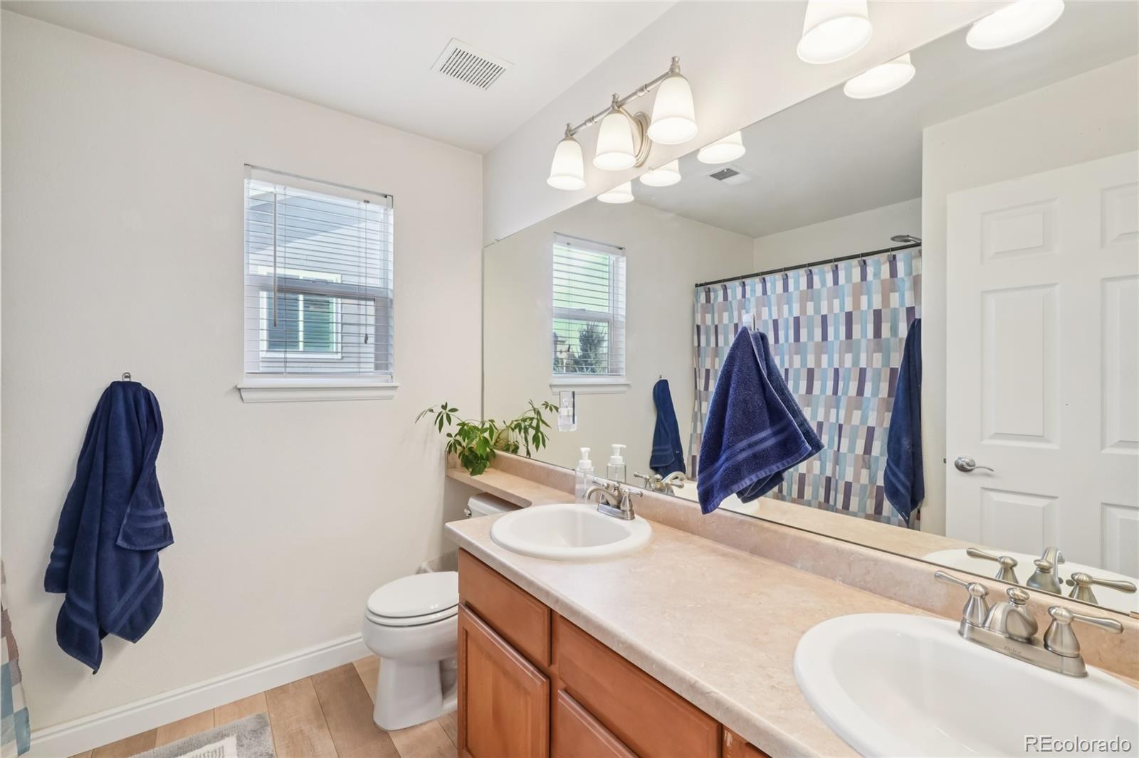 MLS Image #21 for 7762  universal court,castle rock, Colorado
