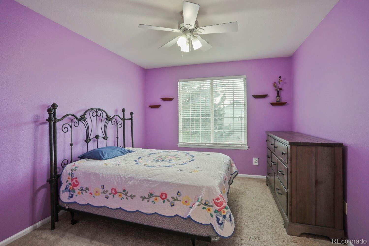 MLS Image #16 for 1115  button rock drive,longmont, Colorado