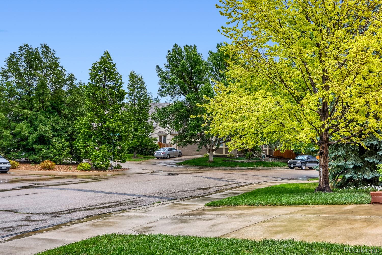 MLS Image #3 for 1115  button rock drive,longmont, Colorado