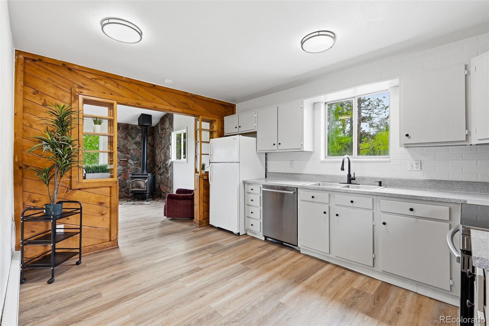 MLS Image #12 for 167  pinon road,bailey, Colorado