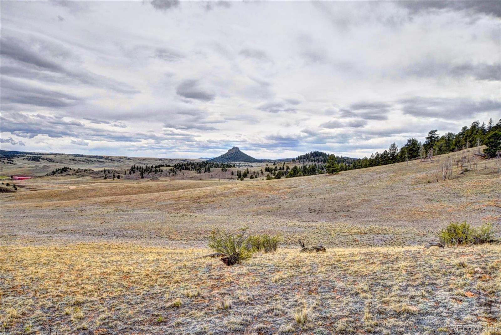 MLS Image #21 for 135  eagle rock road,jefferson, Colorado