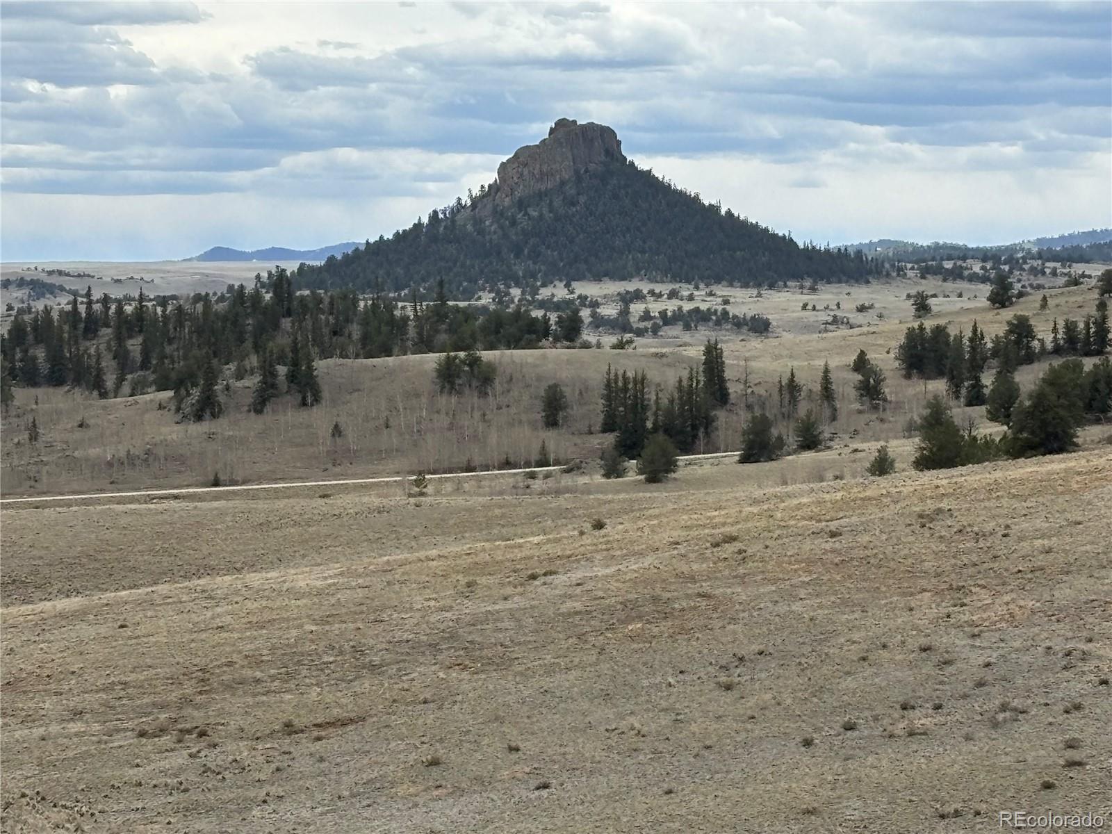 MLS Image #6 for 135  eagle rock road,jefferson, Colorado