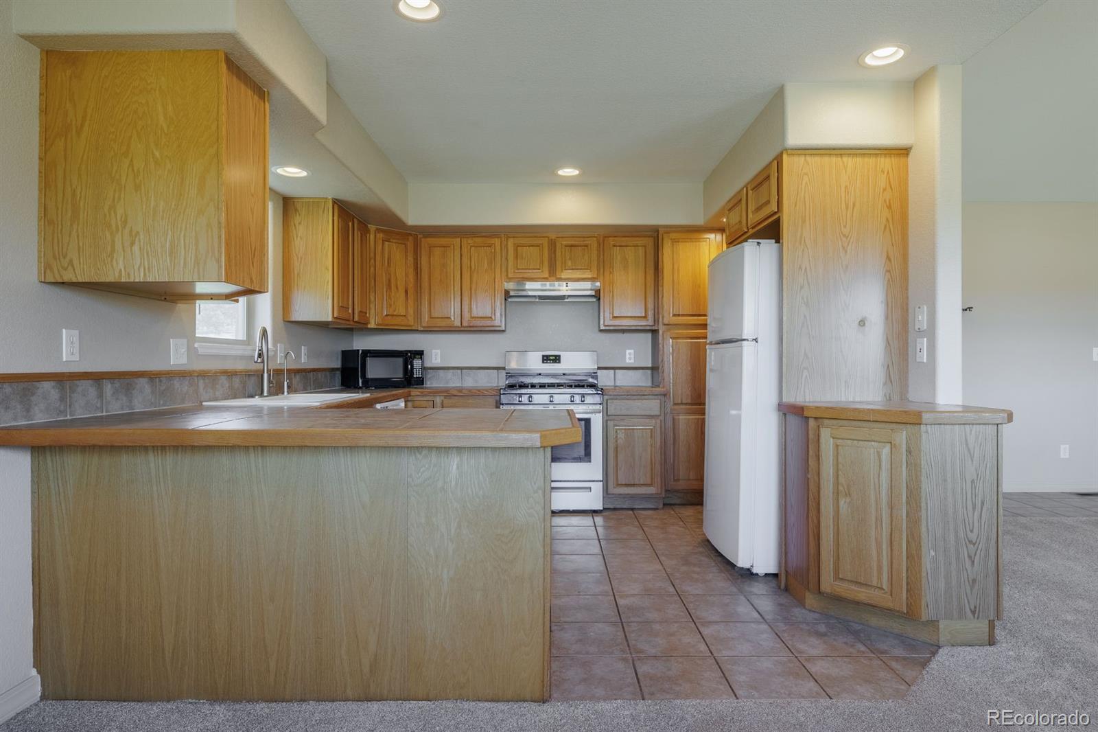 MLS Image #16 for 471  duesouth road,florissant, Colorado
