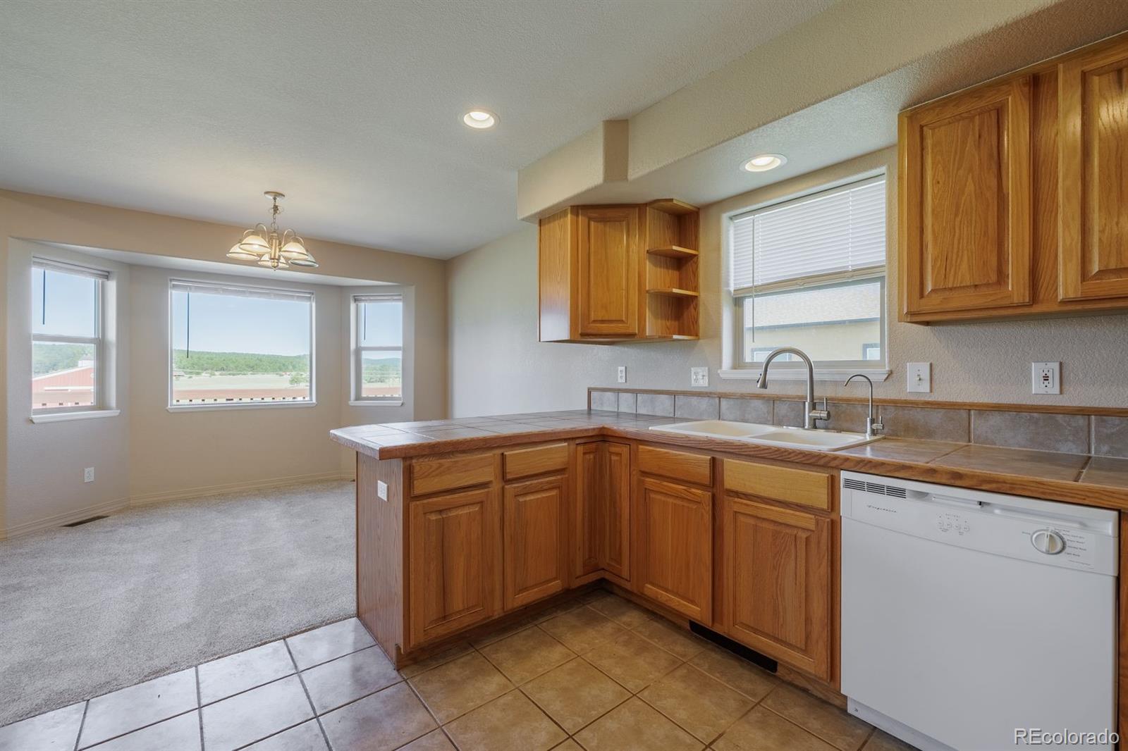 MLS Image #18 for 471  duesouth road,florissant, Colorado