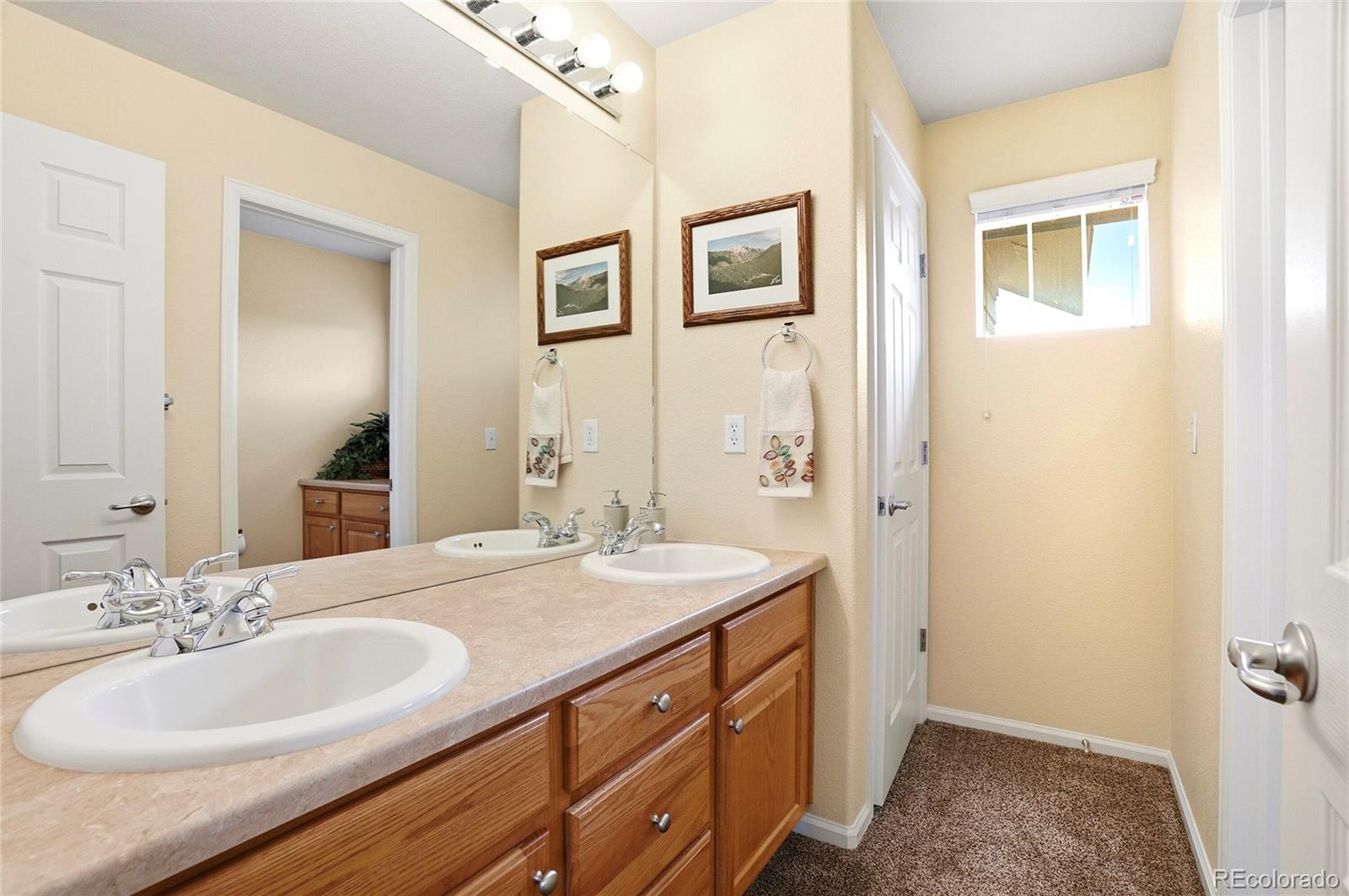 MLS Image #27 for 10234  kimberwick drive,littleton, Colorado