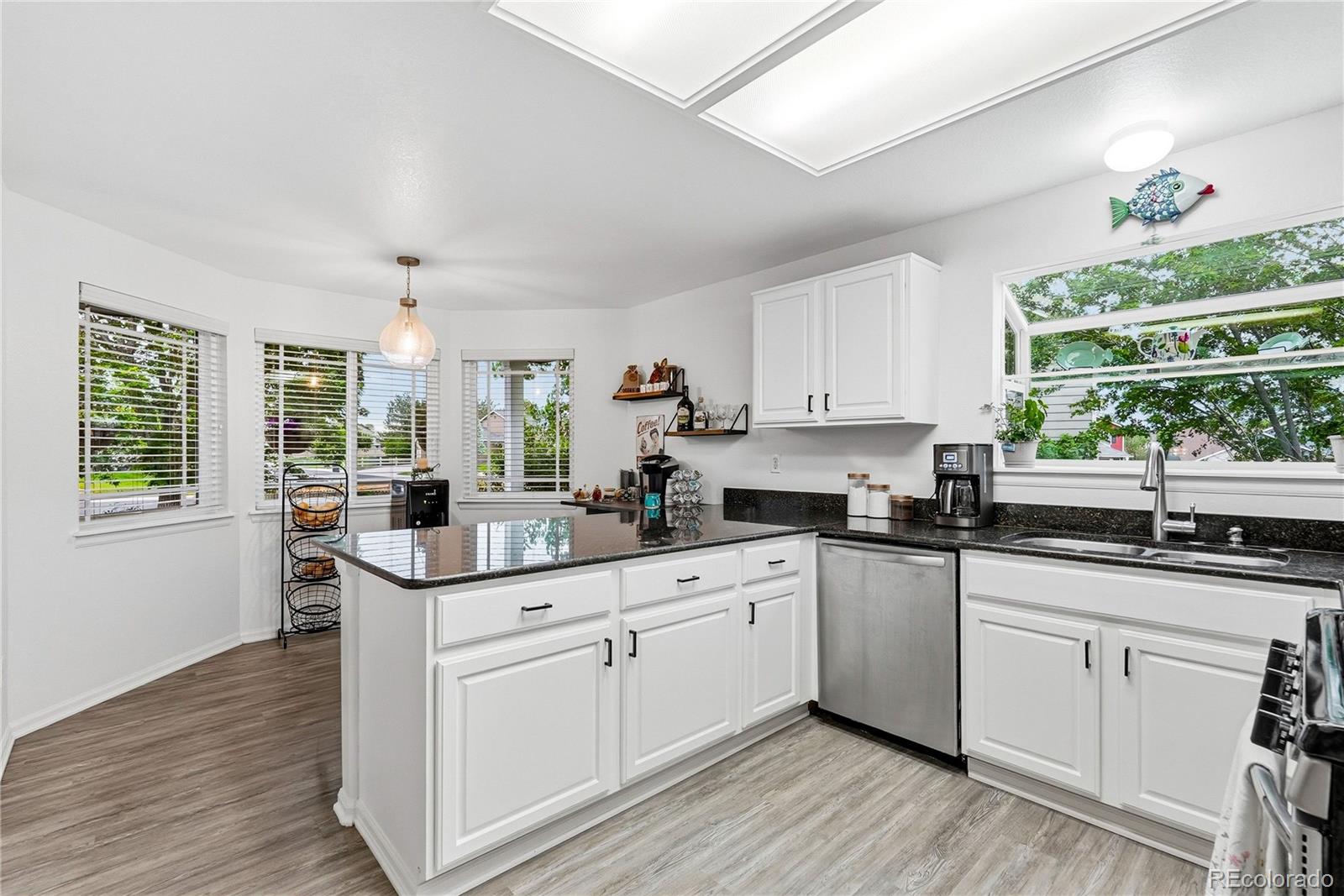 MLS Image #11 for 11229  glenmoor court,parker, Colorado