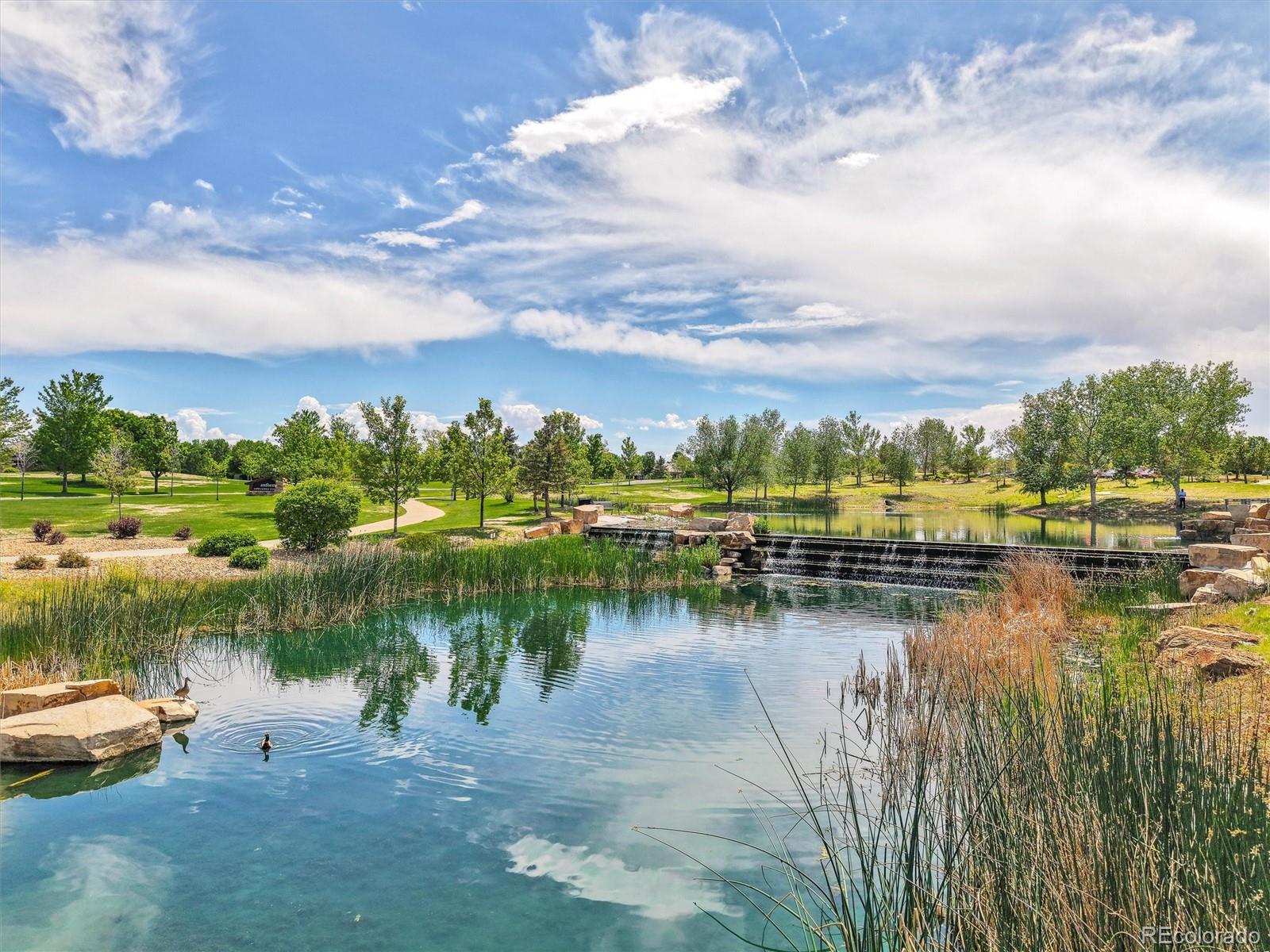 MLS Image #47 for 15922  torreys way,broomfield, Colorado