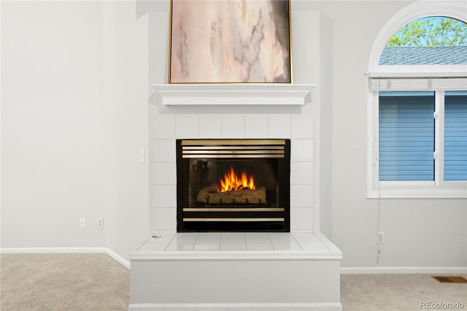MLS Image #24 for 7522 s monaco way,centennial, Colorado