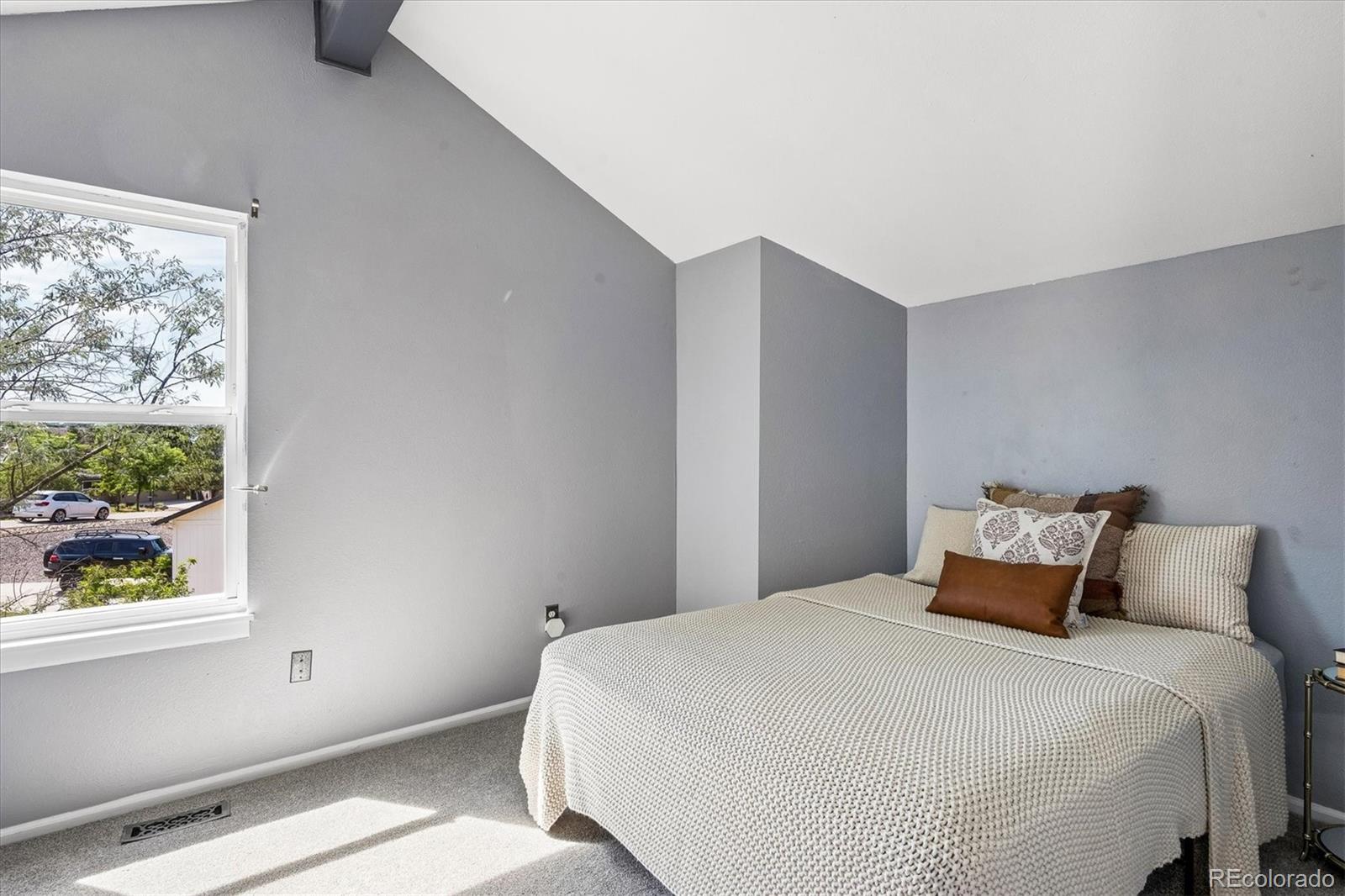 MLS Image #22 for 6918  hill court,parker, Colorado