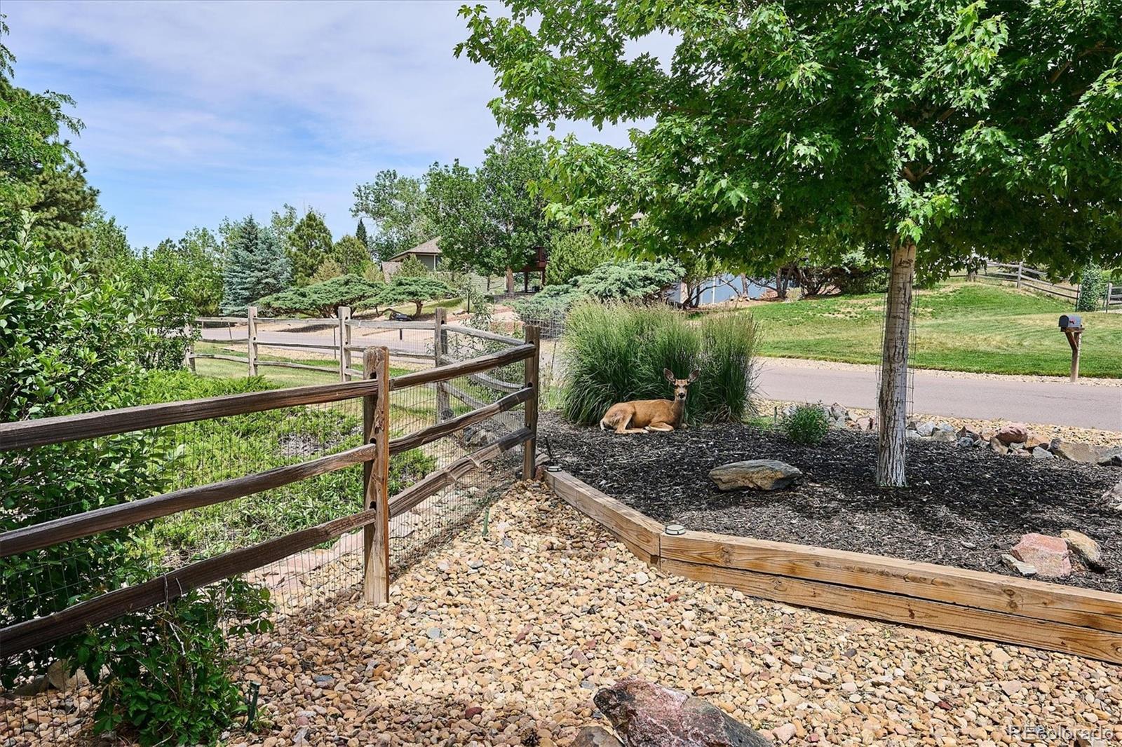 MLS Image #33 for 6918  hill court,parker, Colorado