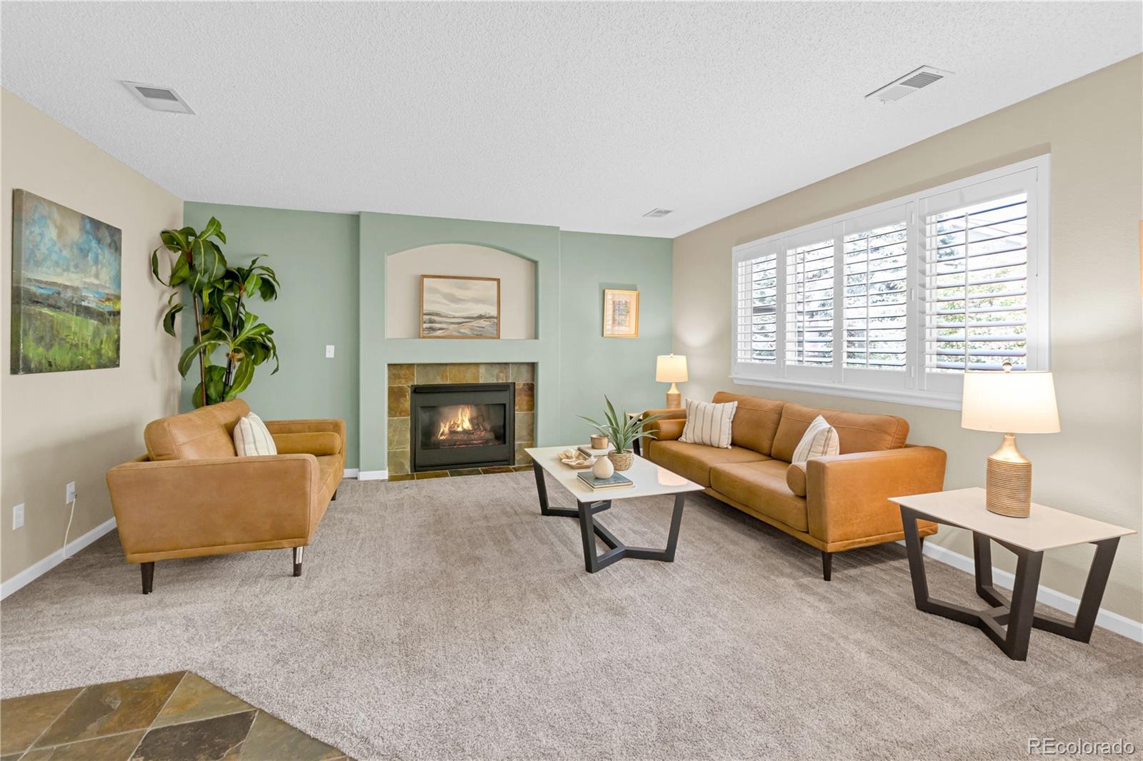 MLS Image #14 for 10516  hyacinth lane,highlands ranch, Colorado