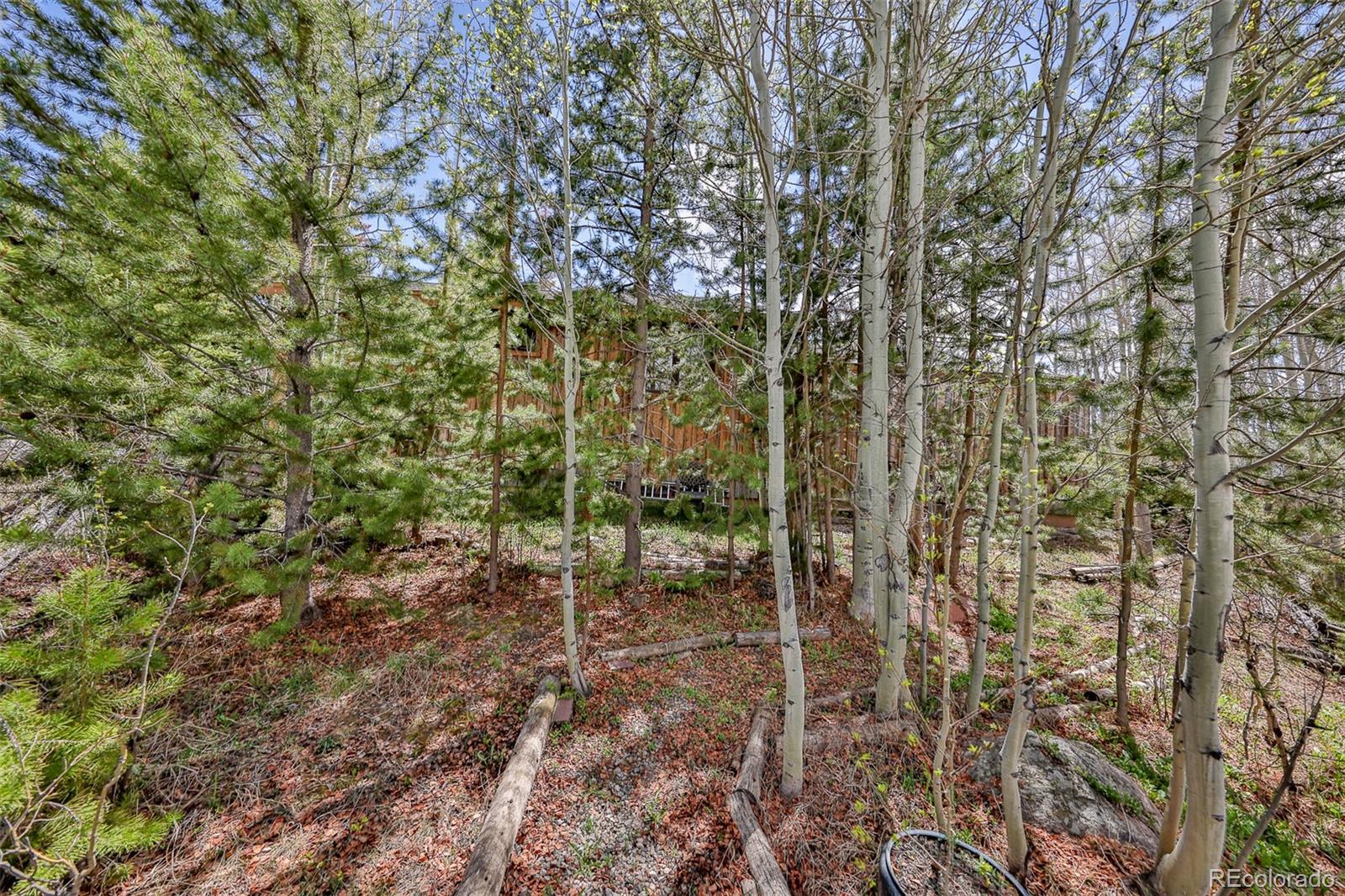 MLS Image #42 for 73  county road 4945 ,grand lake, Colorado