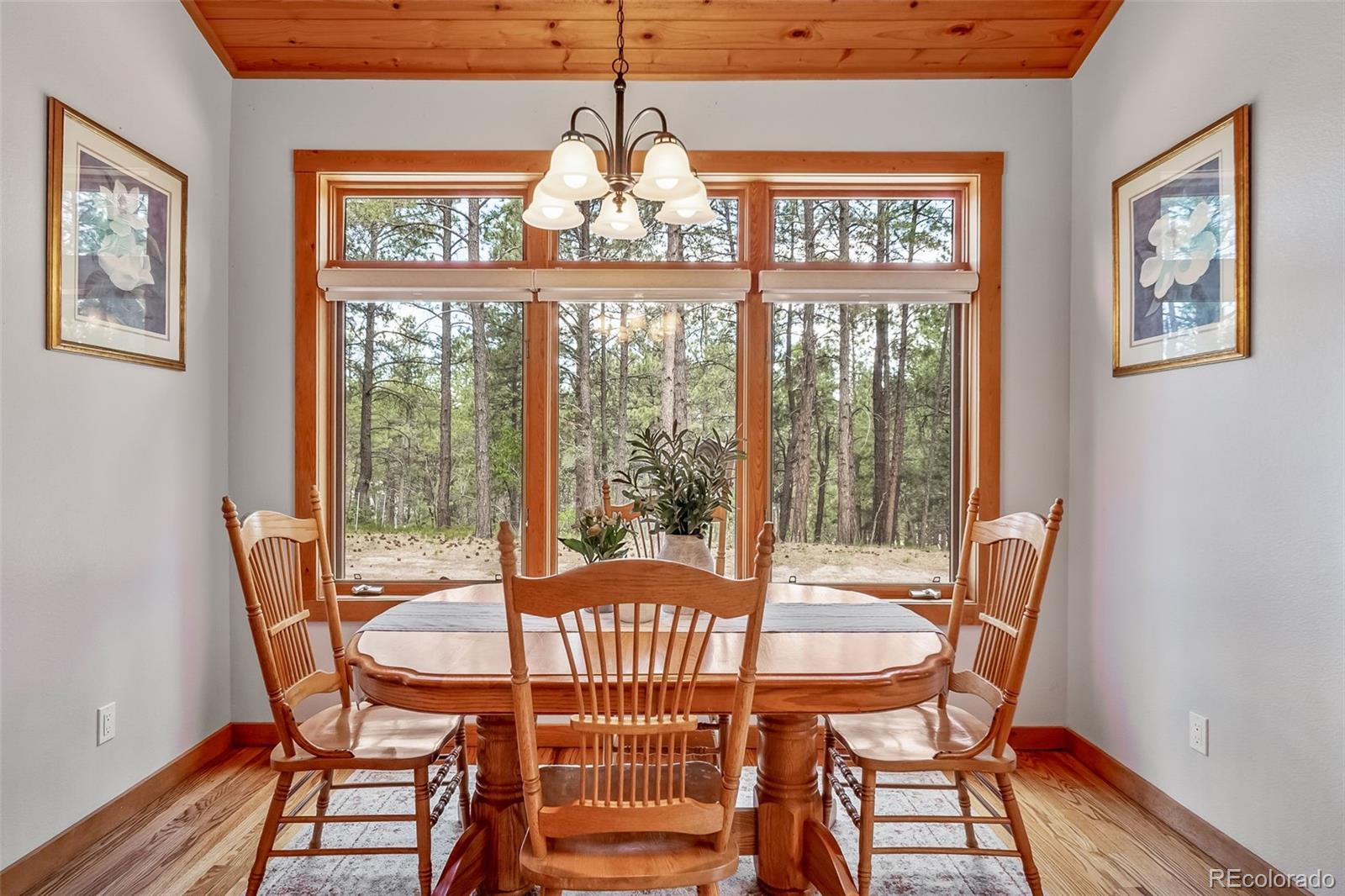 MLS Image #12 for 3654  estates circle,larkspur, Colorado
