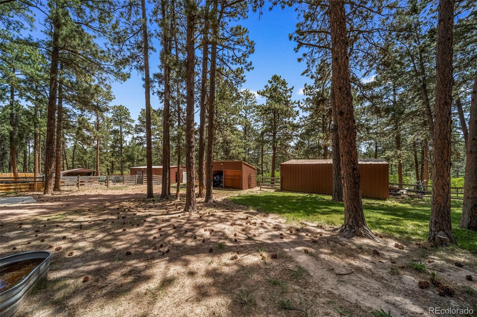 MLS Image #39 for 3654  estates circle,larkspur, Colorado