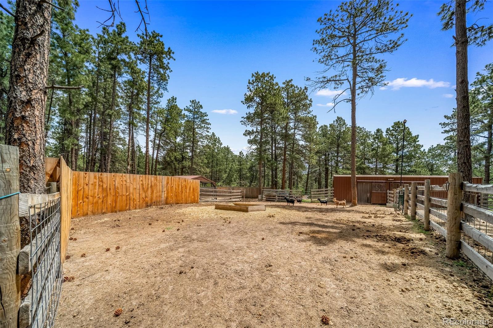 MLS Image #43 for 3654  estates circle,larkspur, Colorado