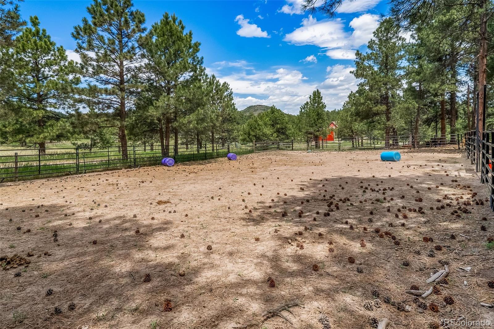 MLS Image #44 for 3654  estates circle,larkspur, Colorado