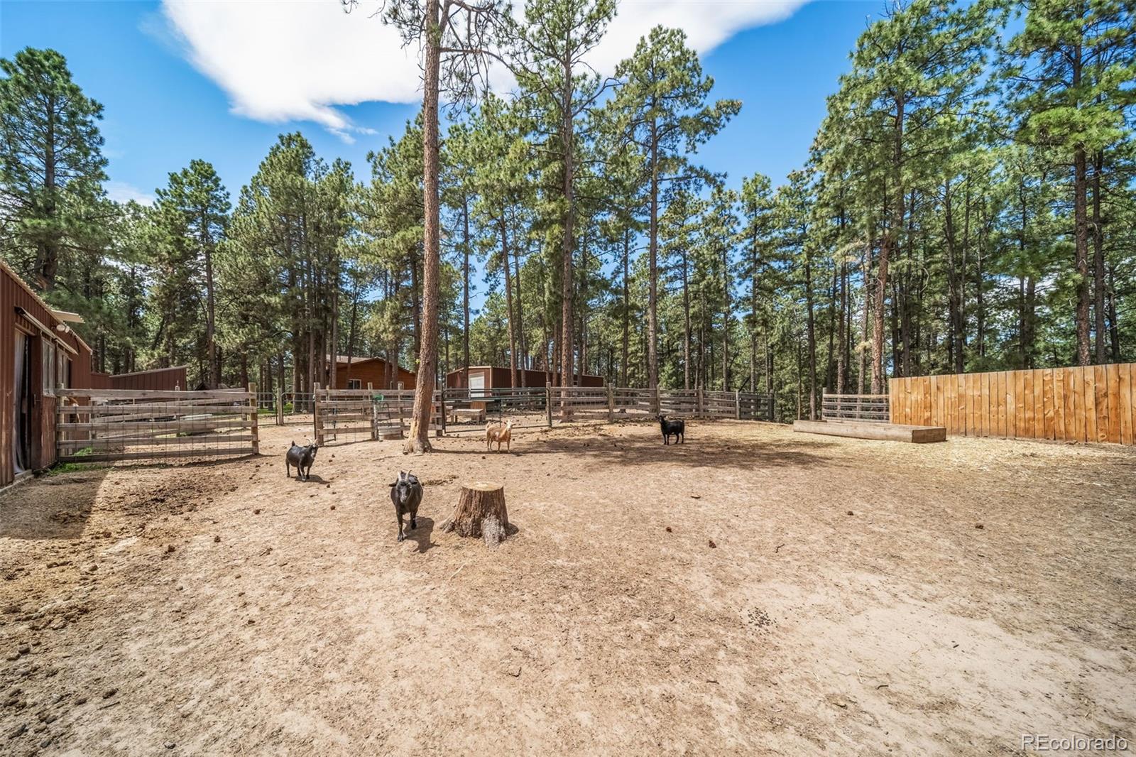 MLS Image #45 for 3654  estates circle,larkspur, Colorado