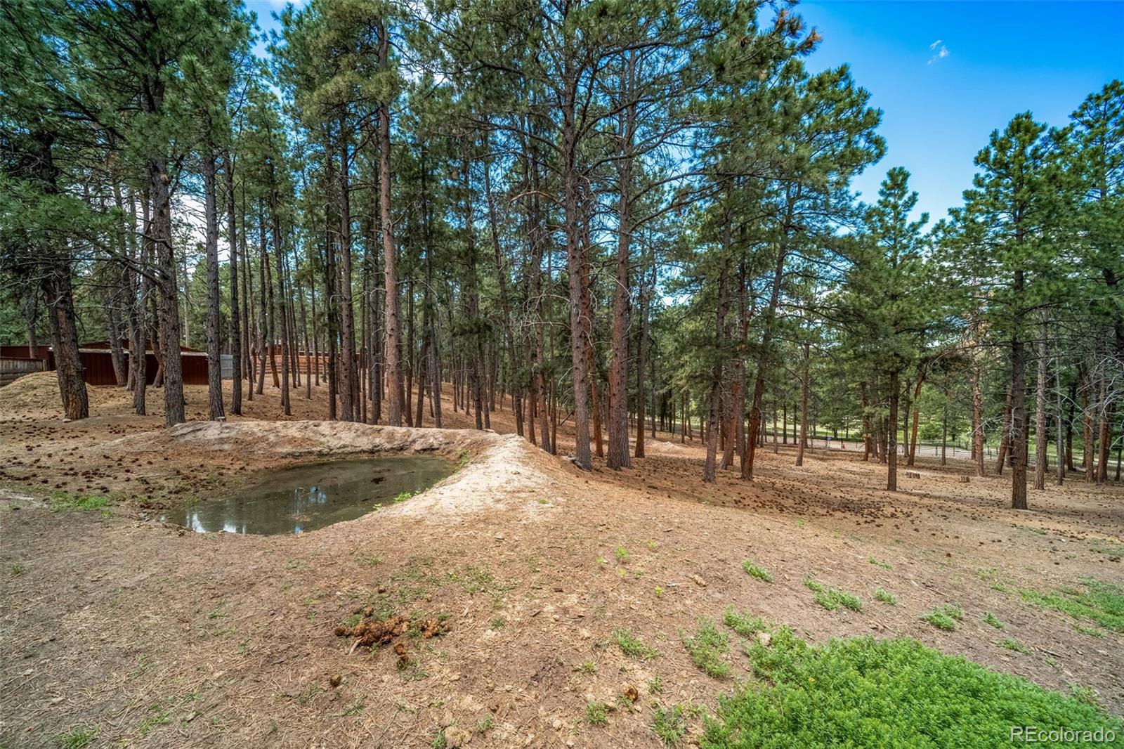 MLS Image #46 for 3654  estates circle,larkspur, Colorado